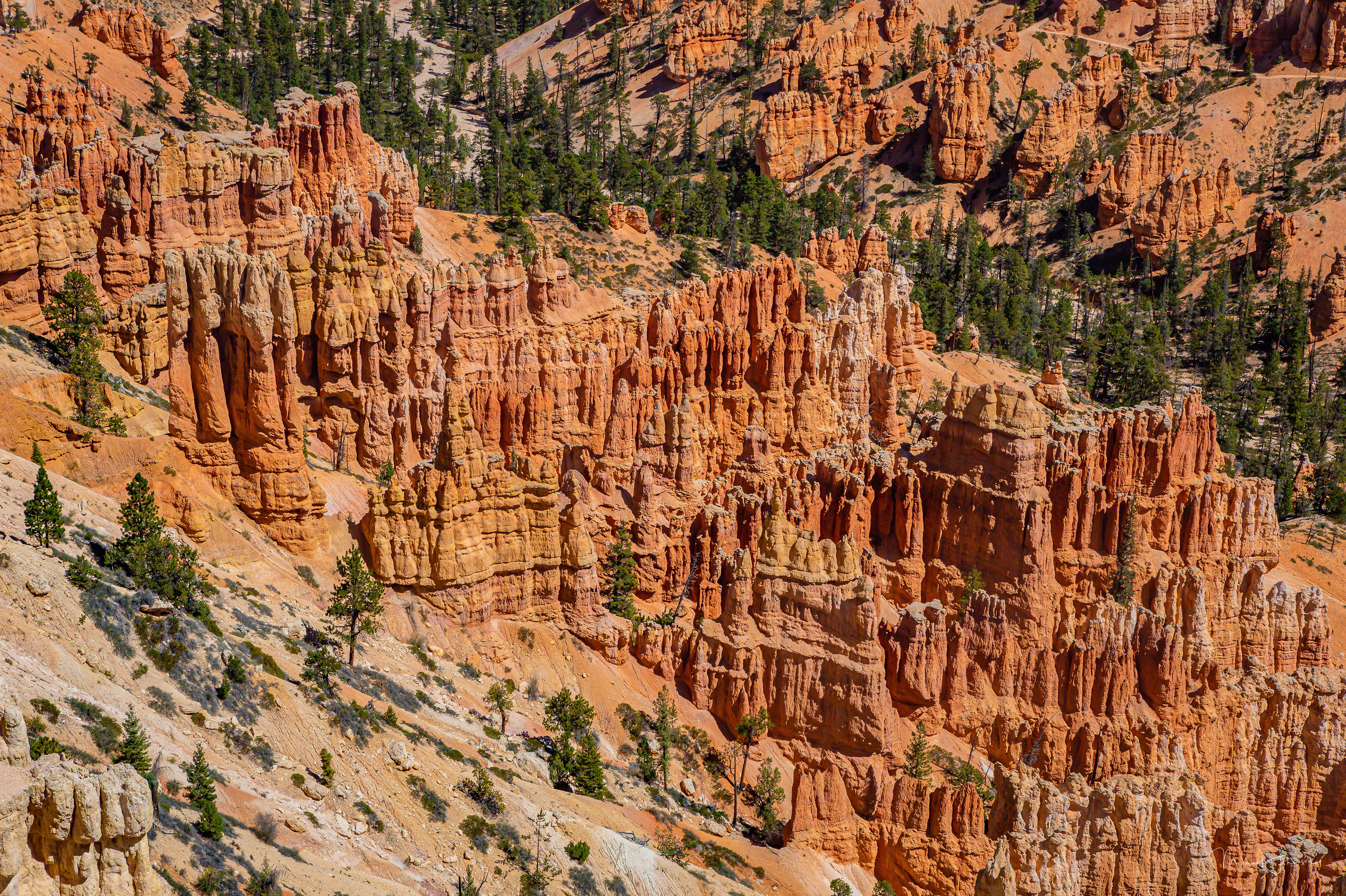 Bryce Canyon National Park - Inspiration Point to Bryce Point