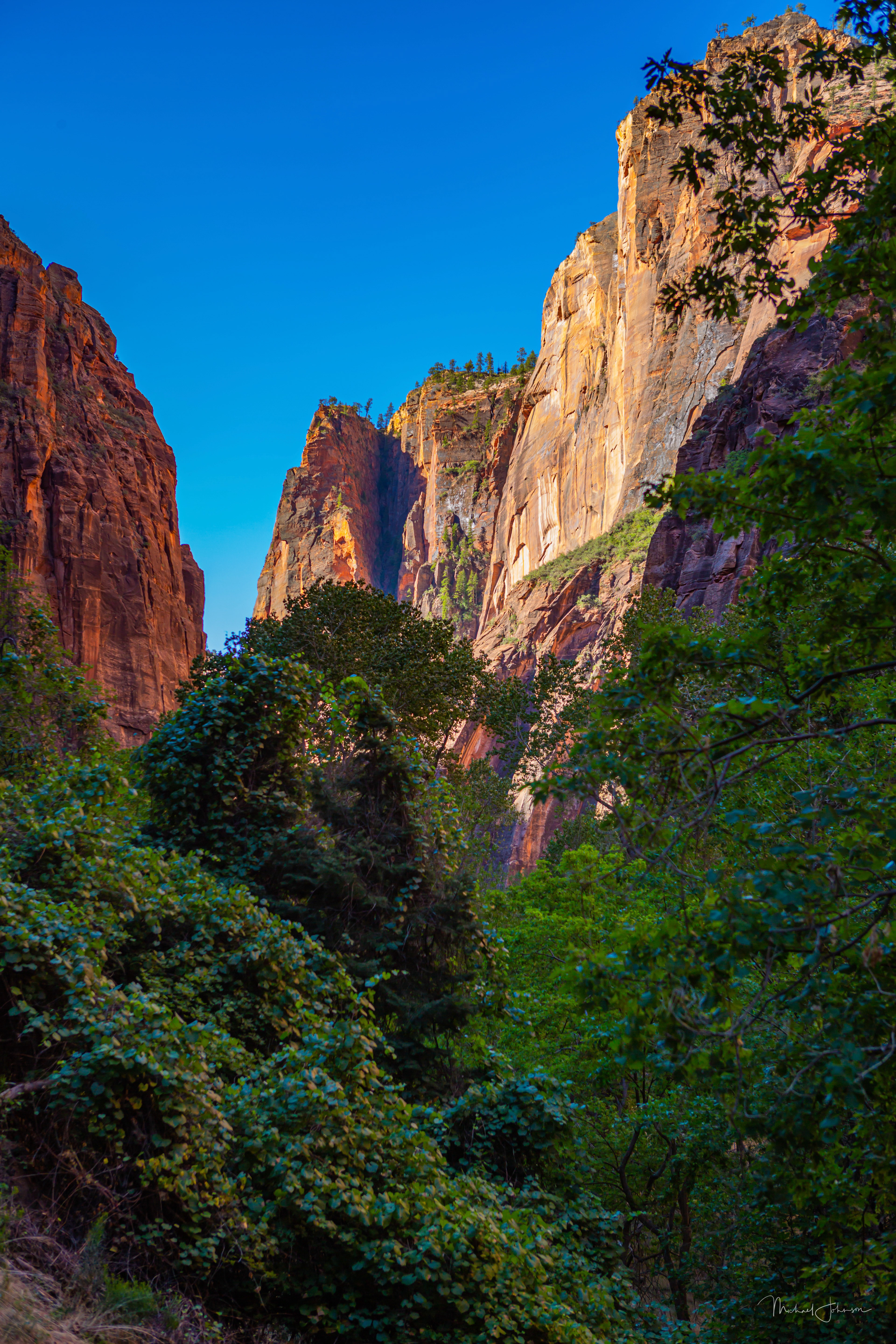 Zion National Park
