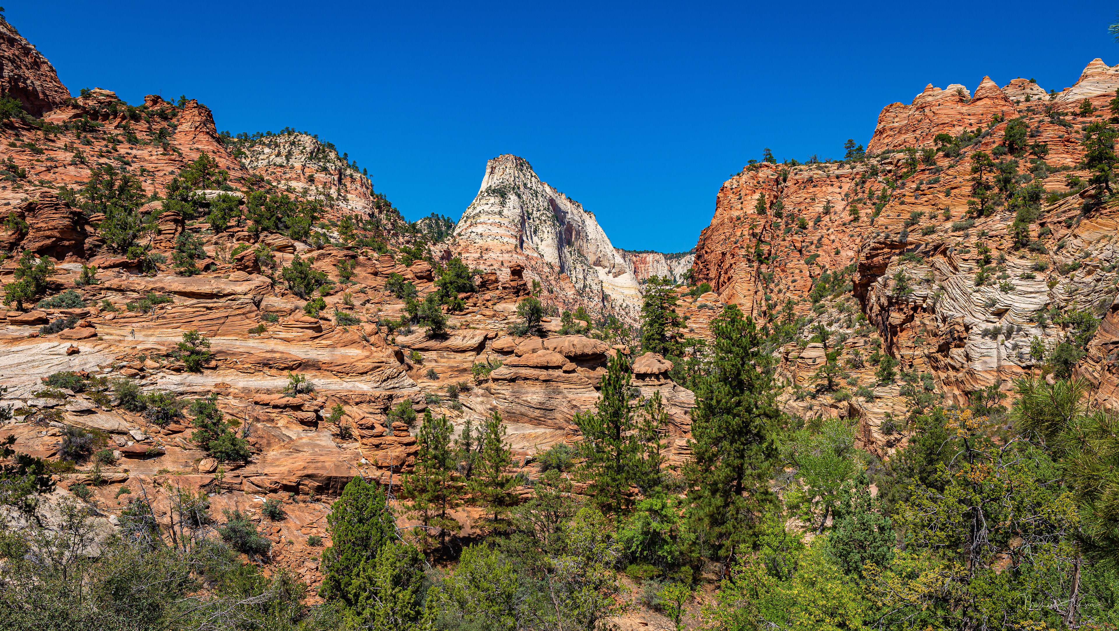 Zion National Park - Eastern Gate