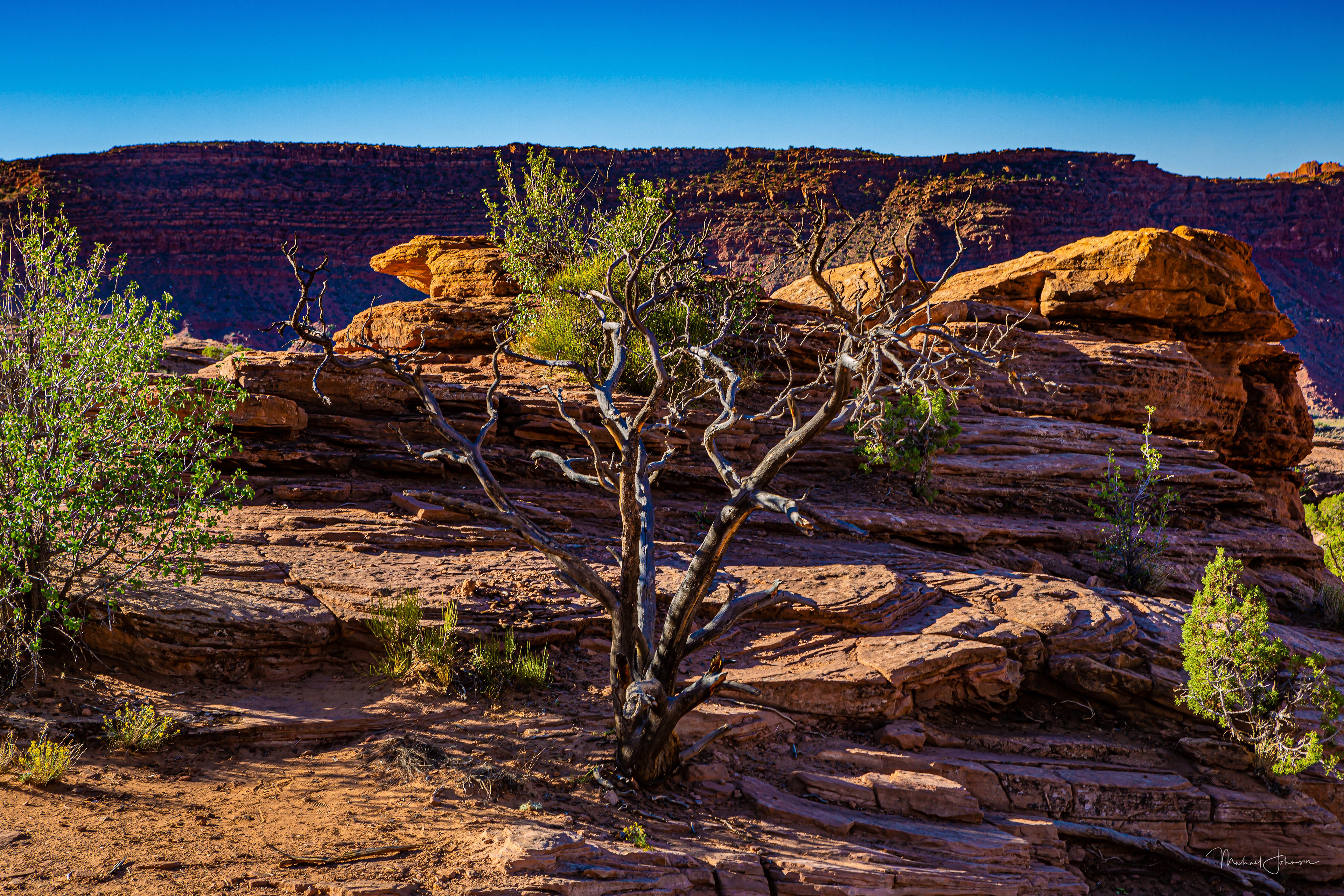 Arches National Park - Delicate Arch