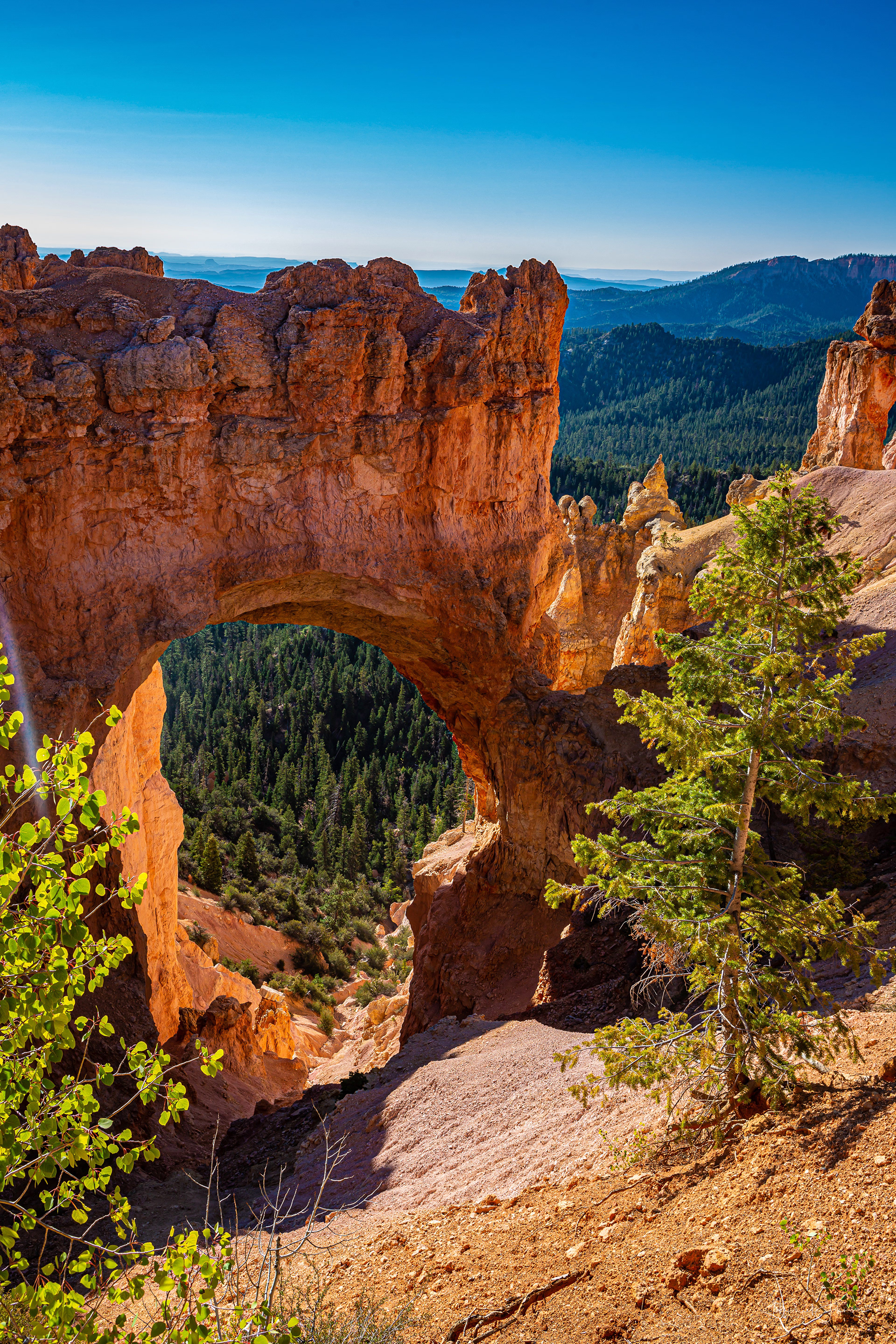 Bryce Canyon National Park - Natural Bridge