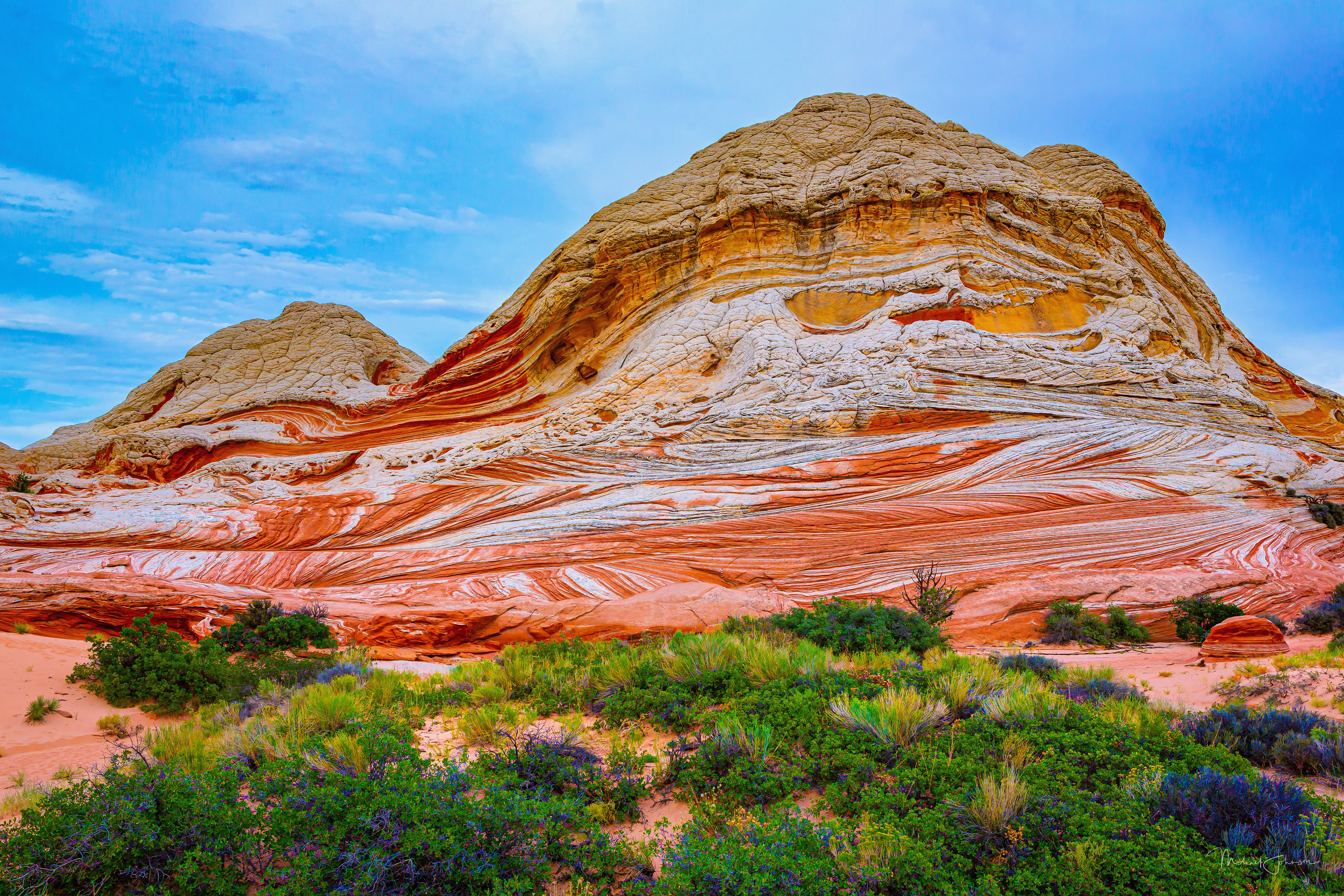 White Pocket Formation