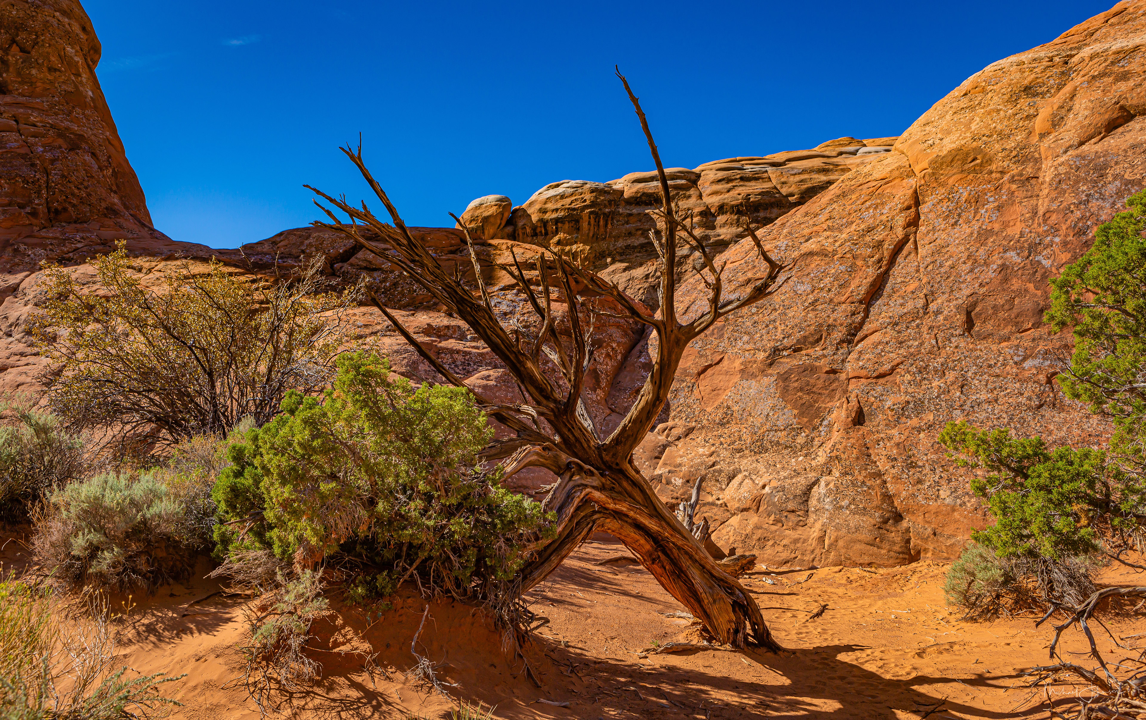 Arches National Park