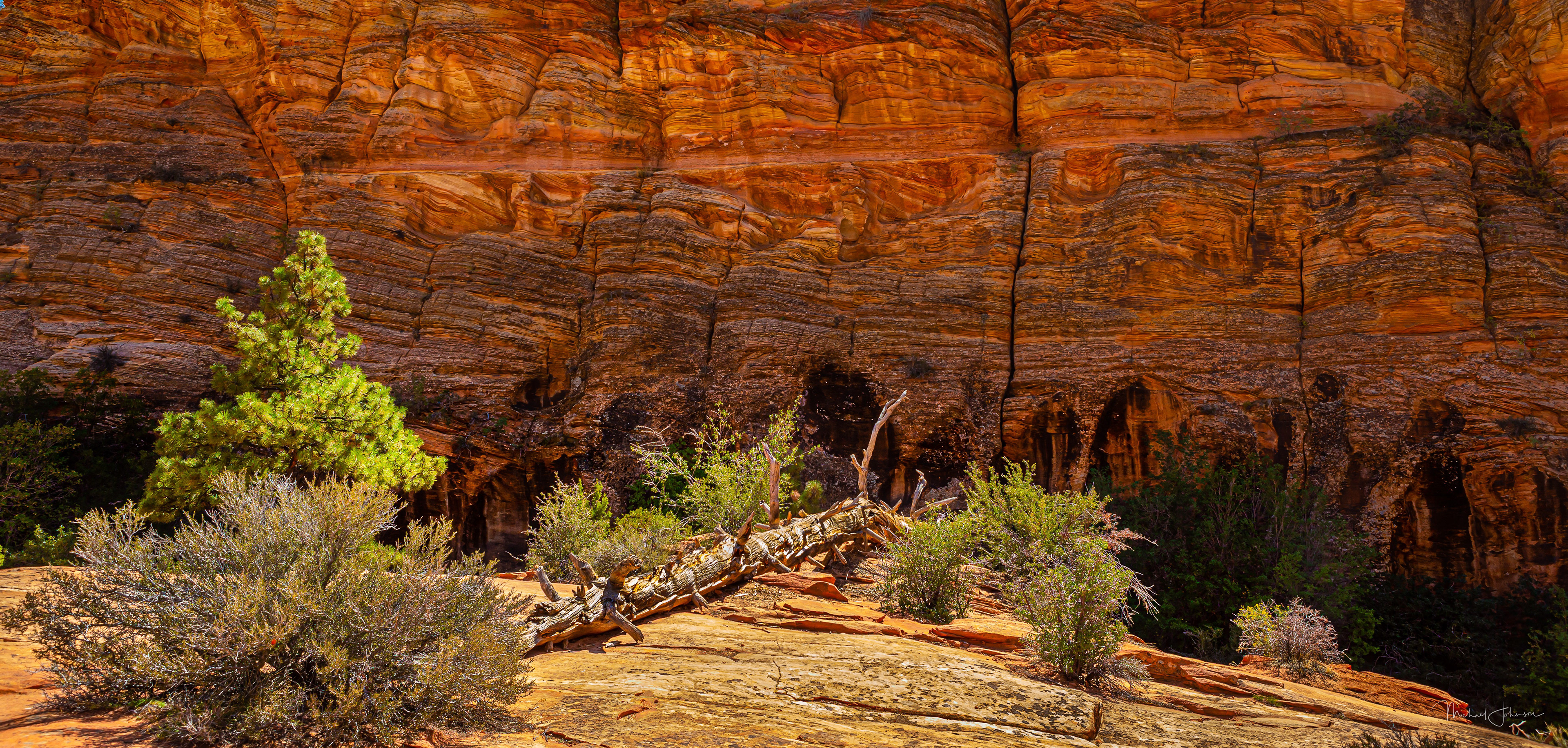 Zion National Park - Eastern Gate