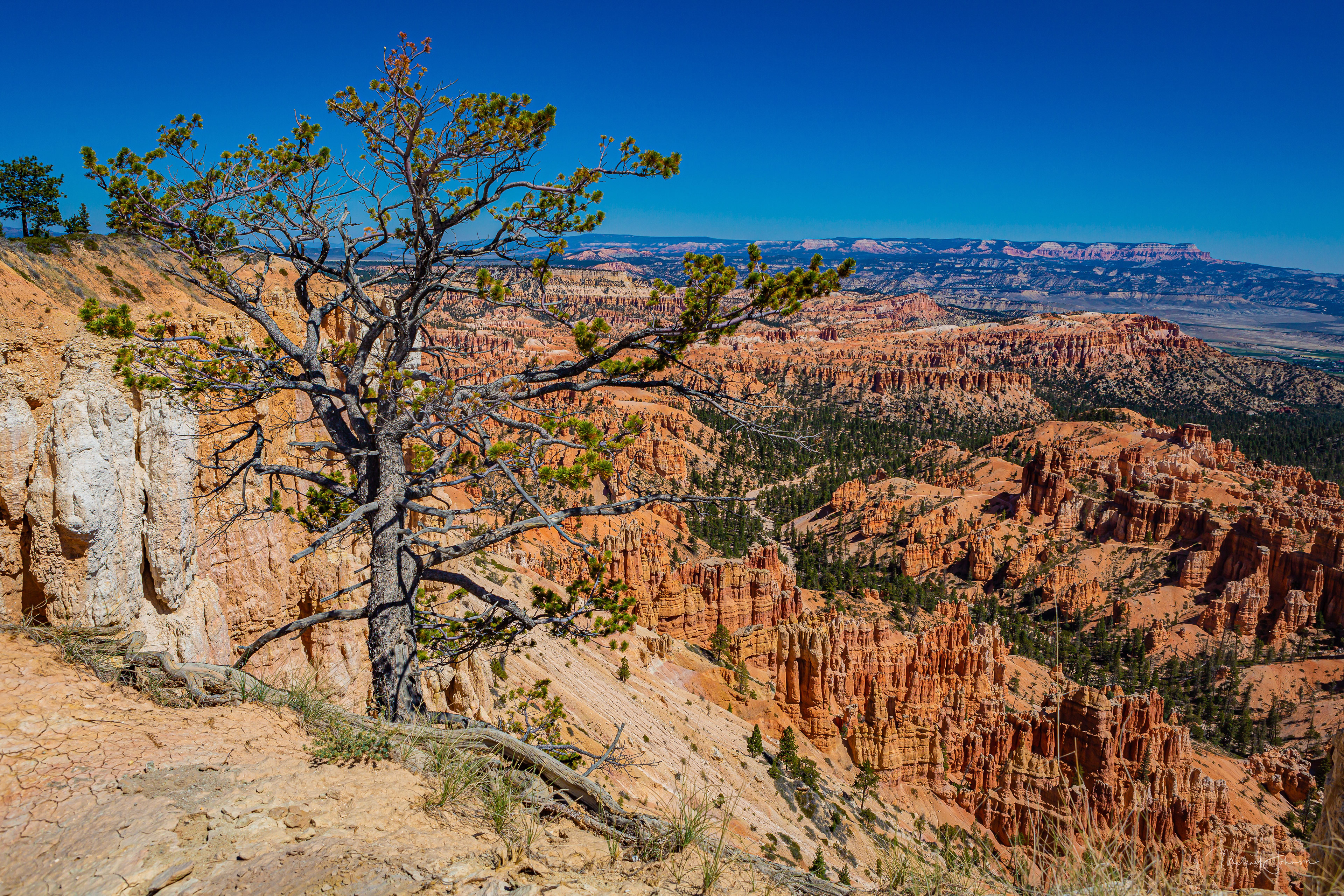 Bryce Canyon National Park - Inspiration Point to Bryce Point