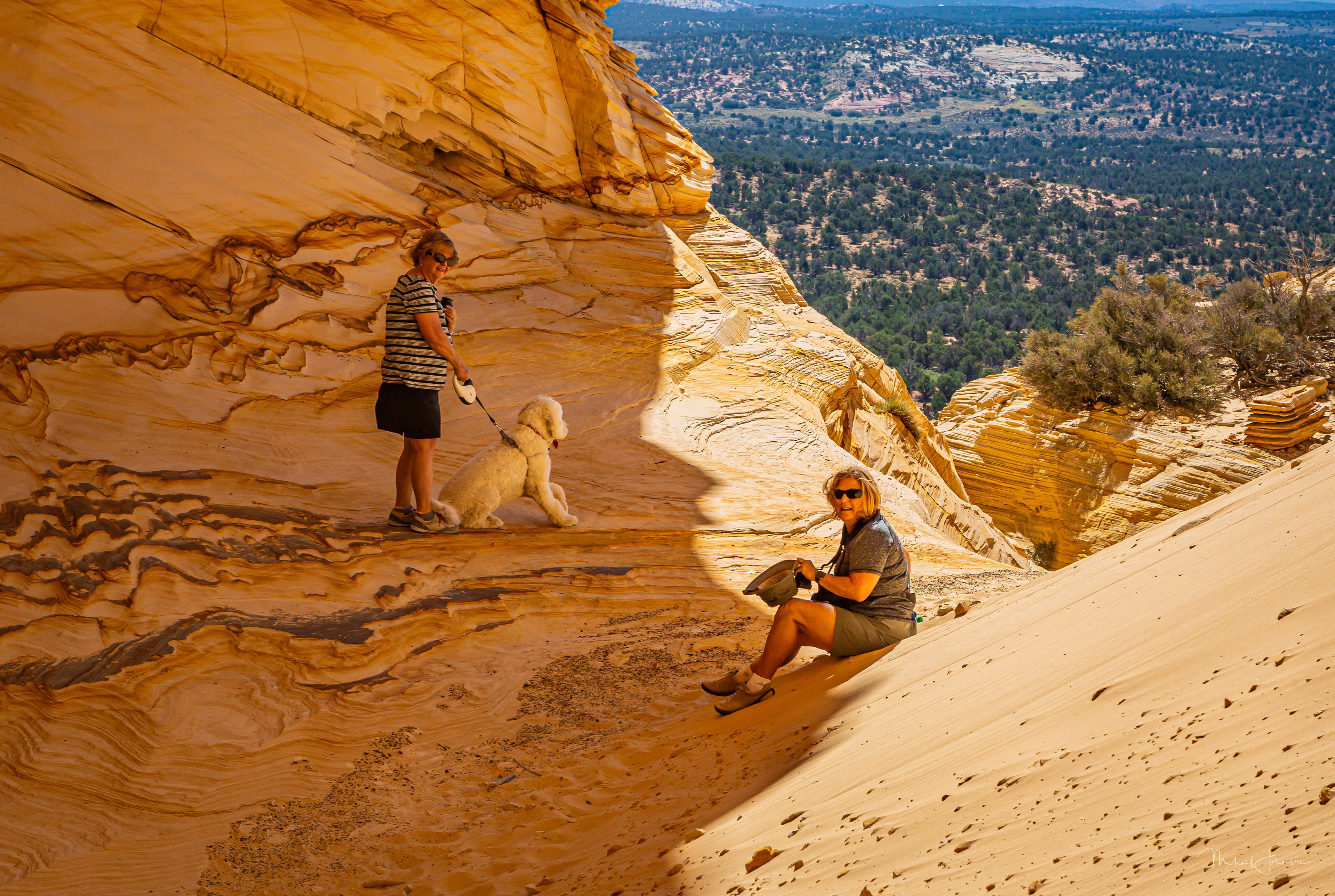 The Great Chamber - Marie Hicks & Mary Kaye Bell