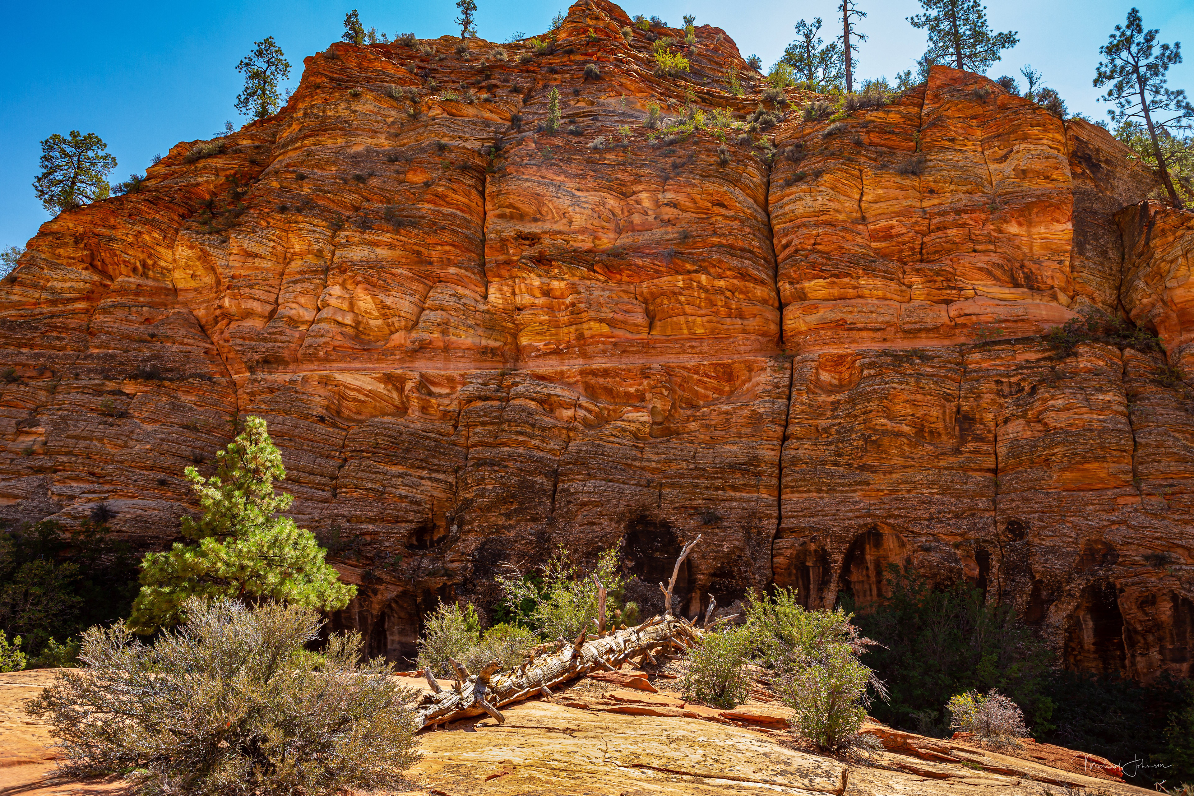 Zion National Park - Eastern Gate