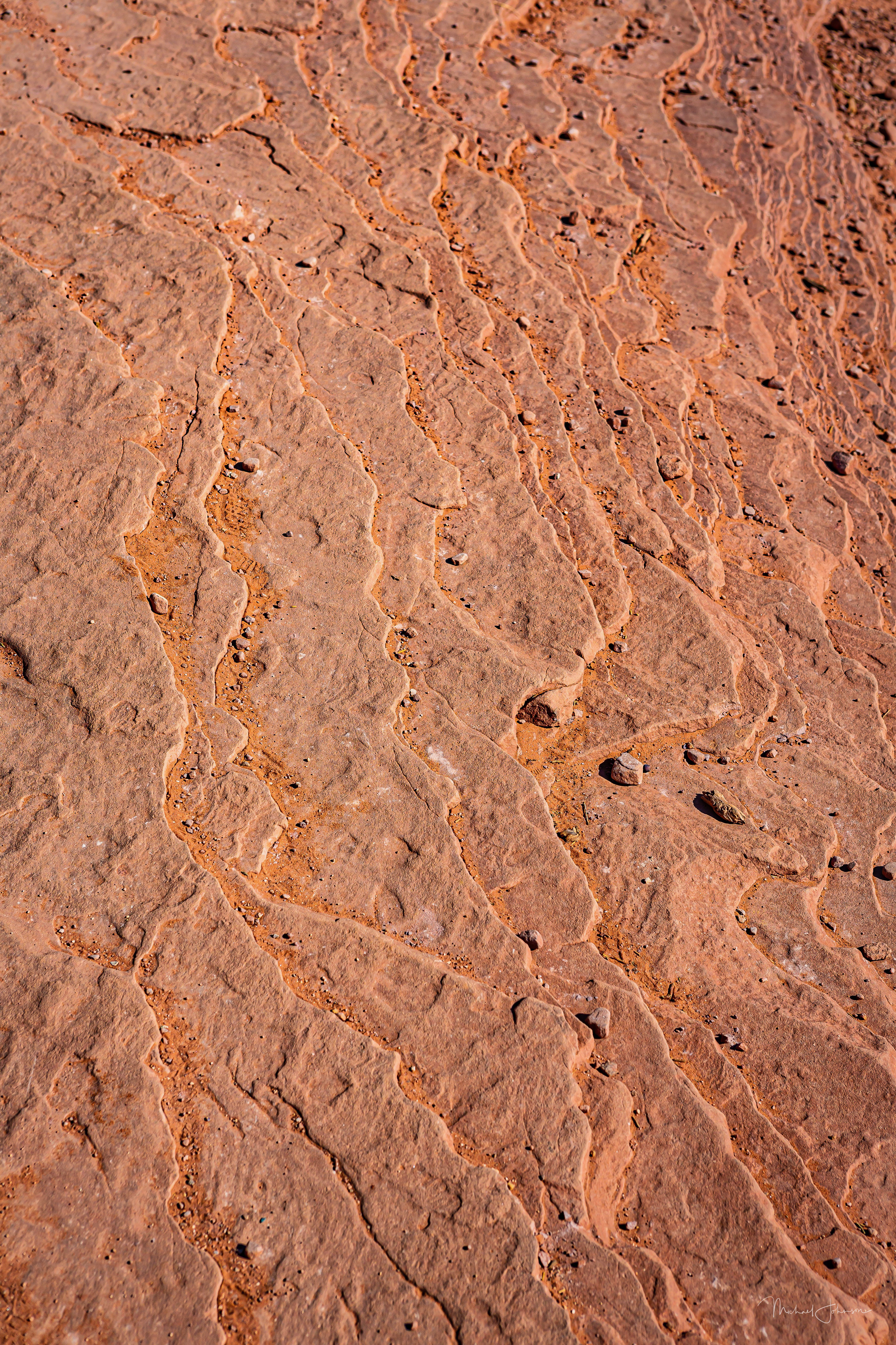 Canyonlands National Park - Grand View Point Overlook