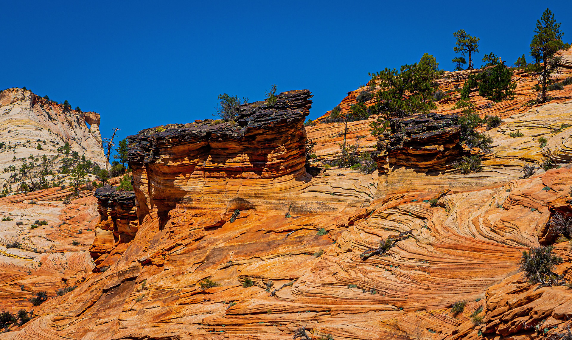 Zion National Park - Eastern Gate