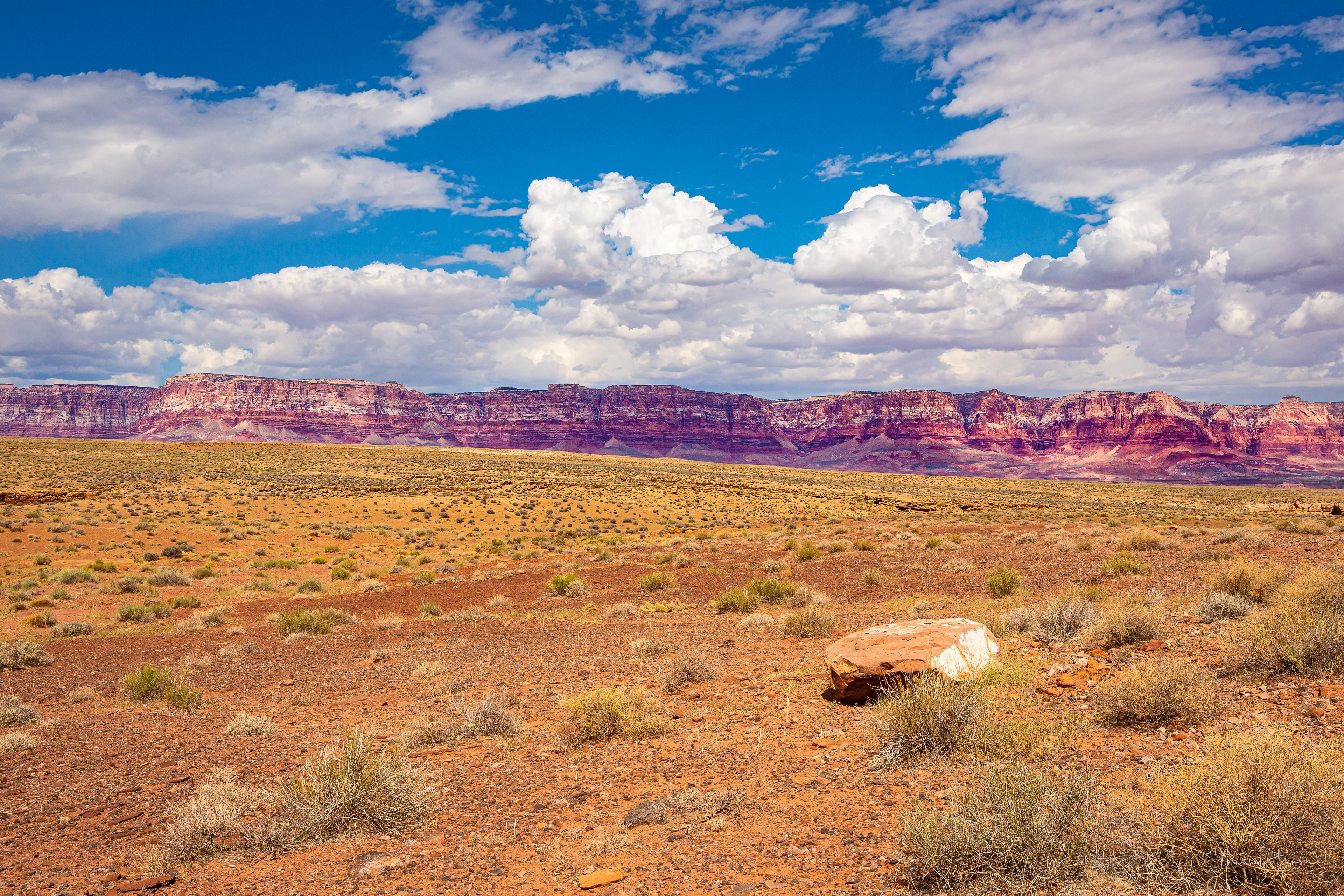 Vermilion Cliffs - Vermilion Cliffs National Monument