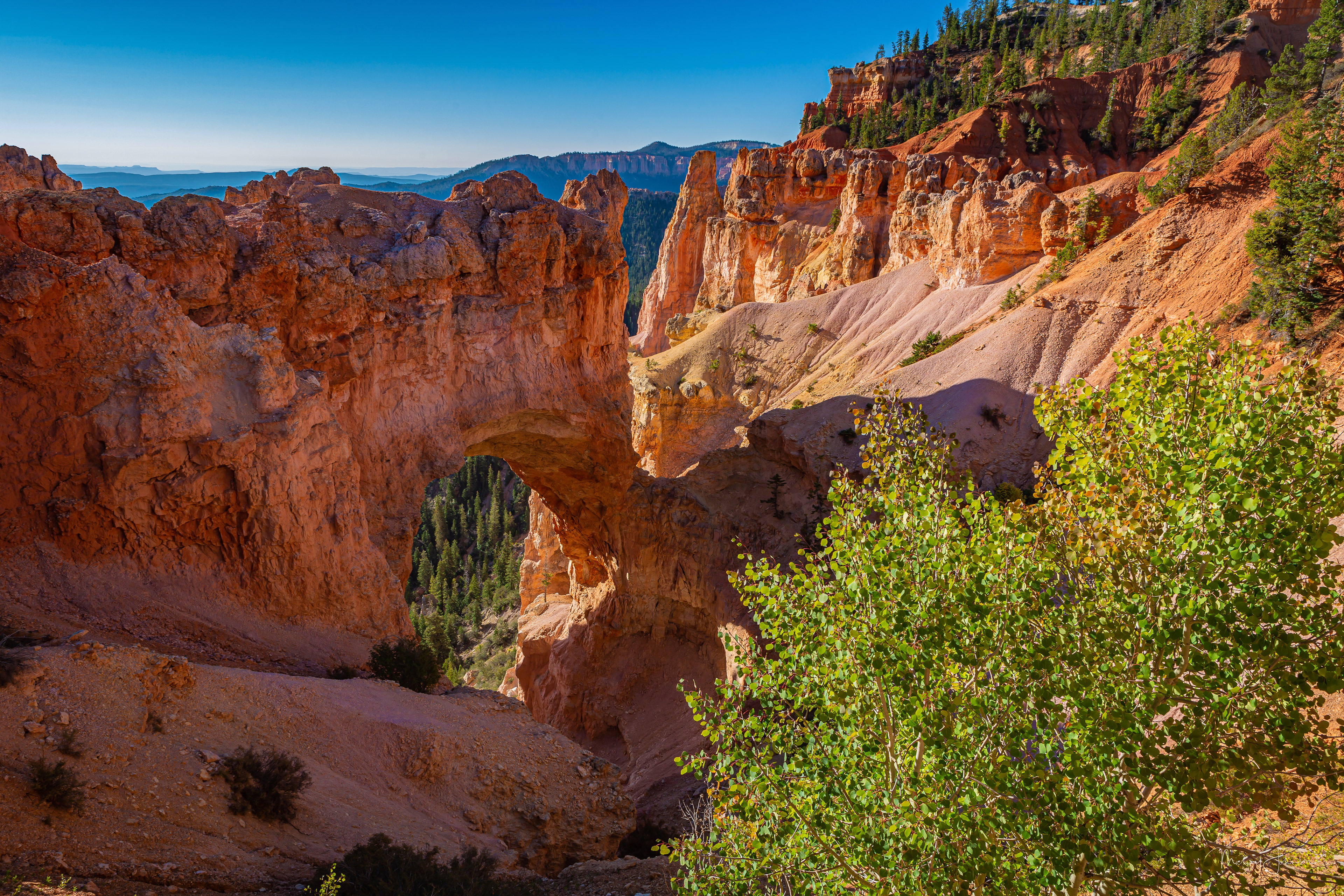 Bryce Canyon National Park - Natural Bridge