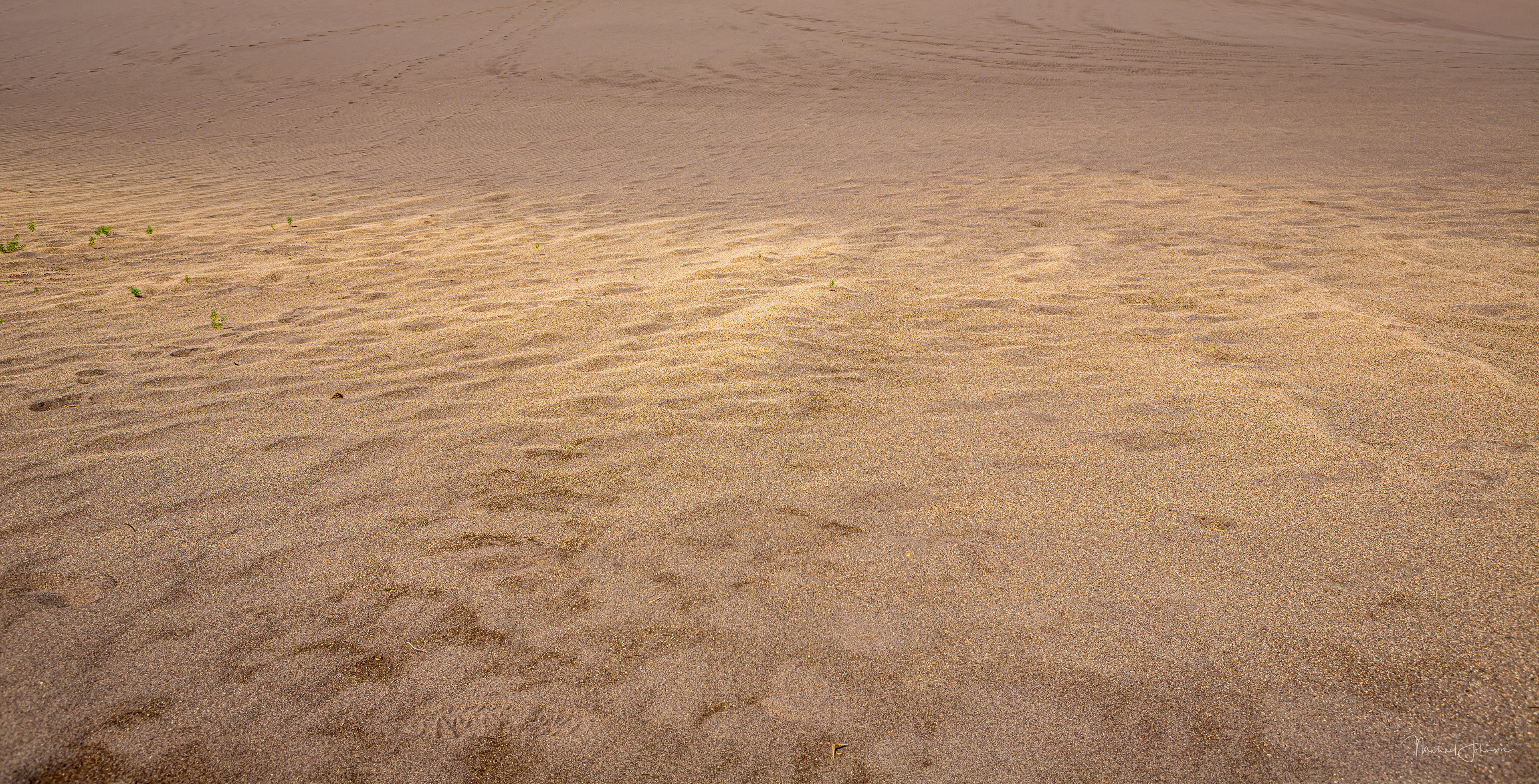 extures and Patterns on the Dunes