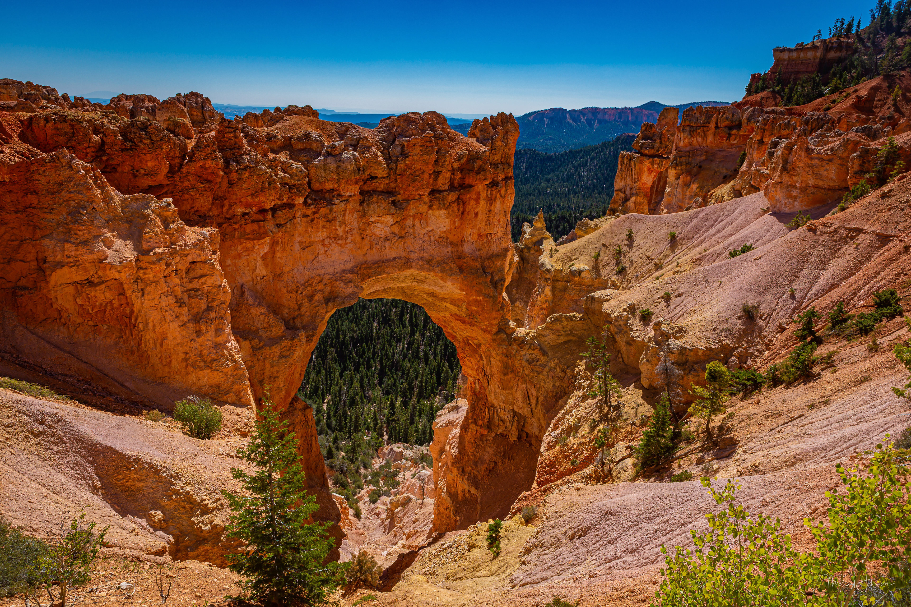 Bryce Canyon National Park - Natural Bridge