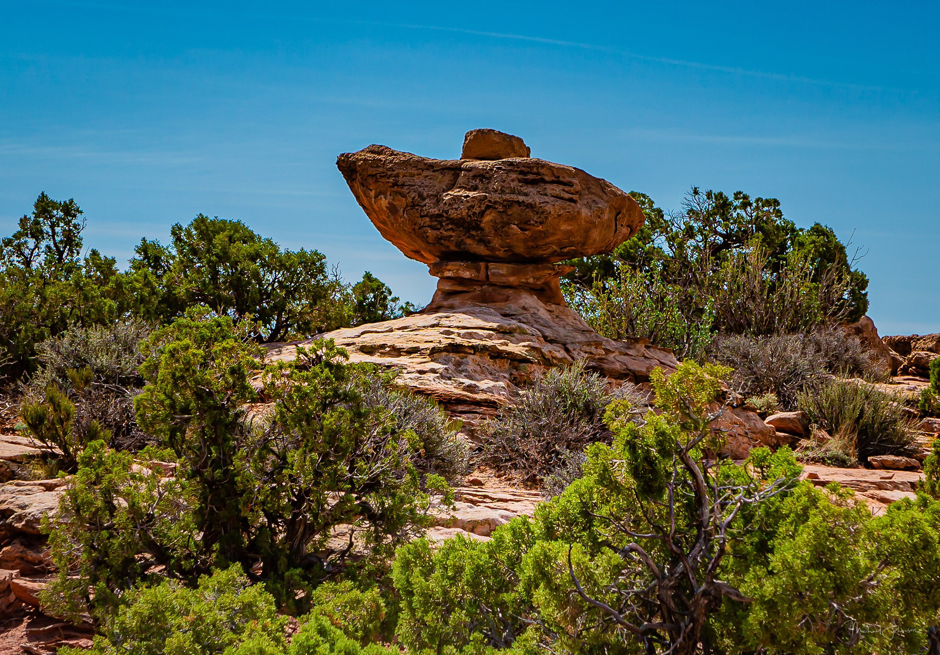 Canyonlands National Park - Grand View Point Overlook