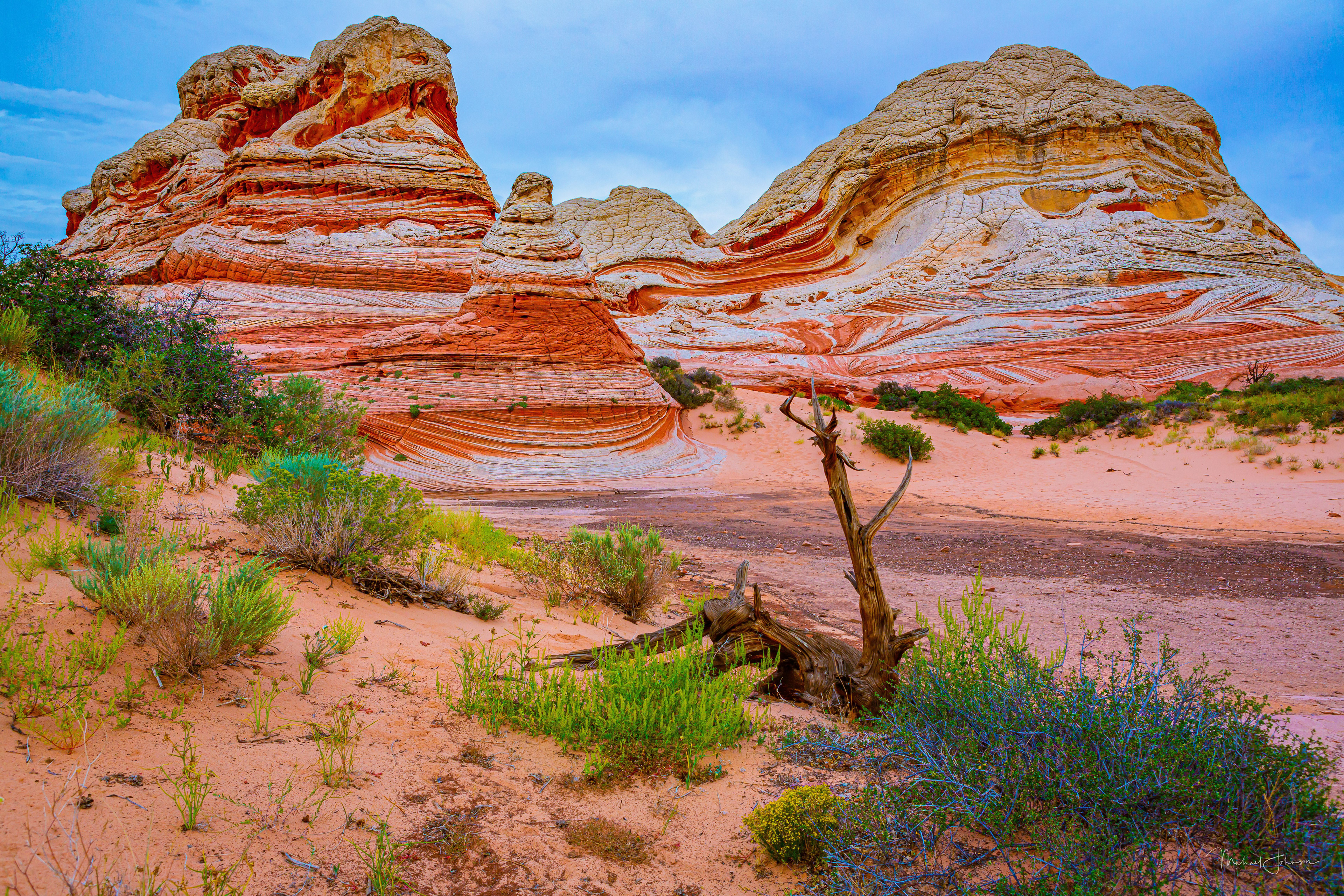 White Pocket Formation