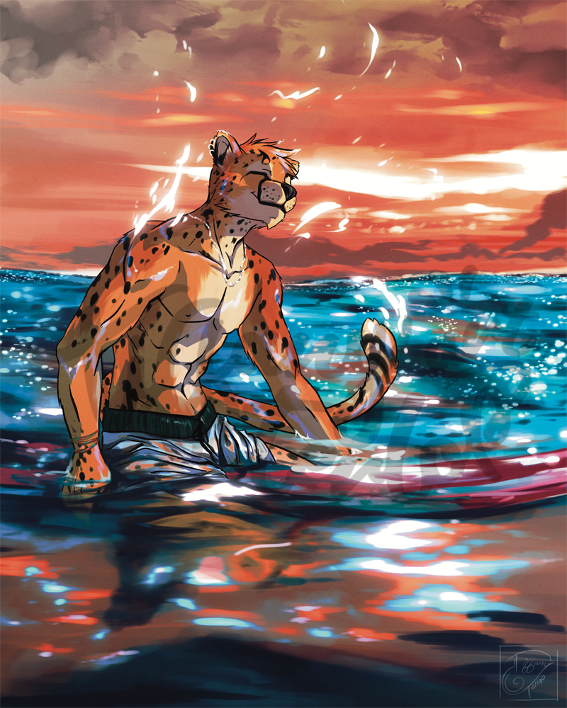 Cheetah Surfer