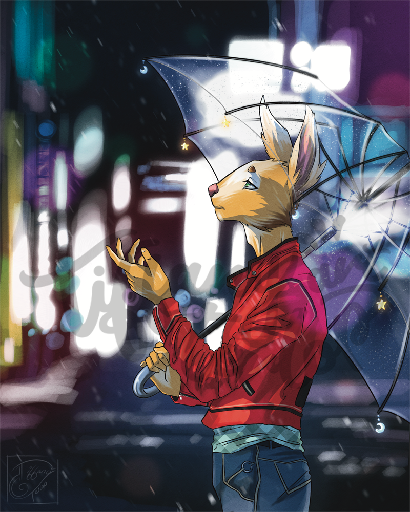Rabbit in the Rain