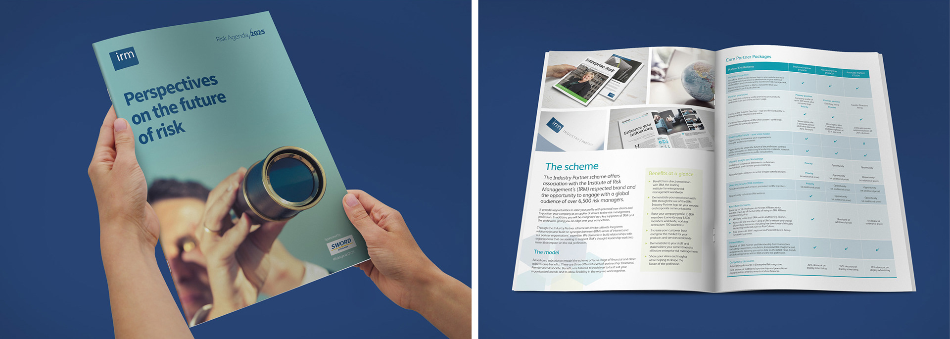 Images showing IRM brochure design layouts