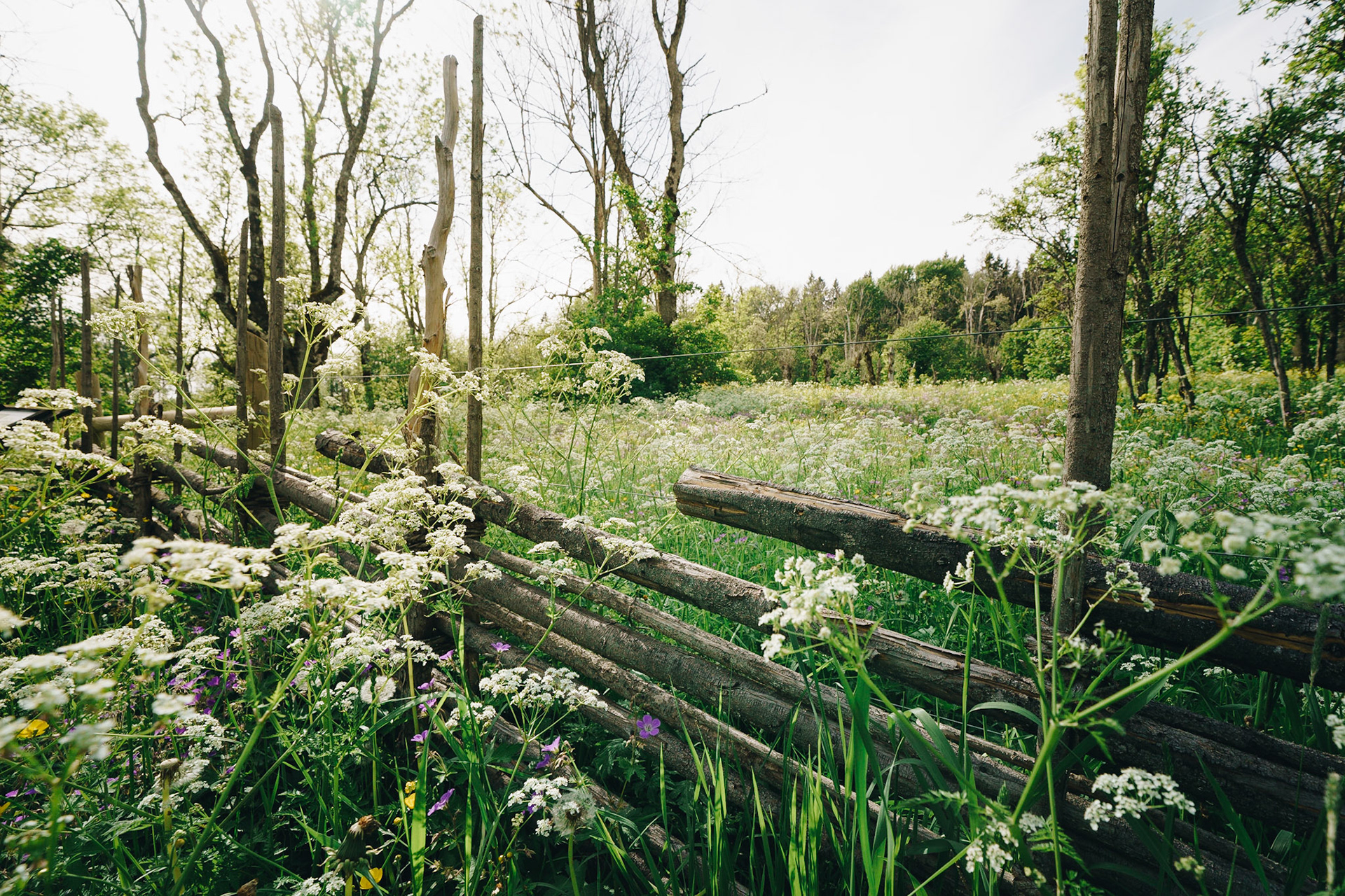Garphyttans Nationalpark