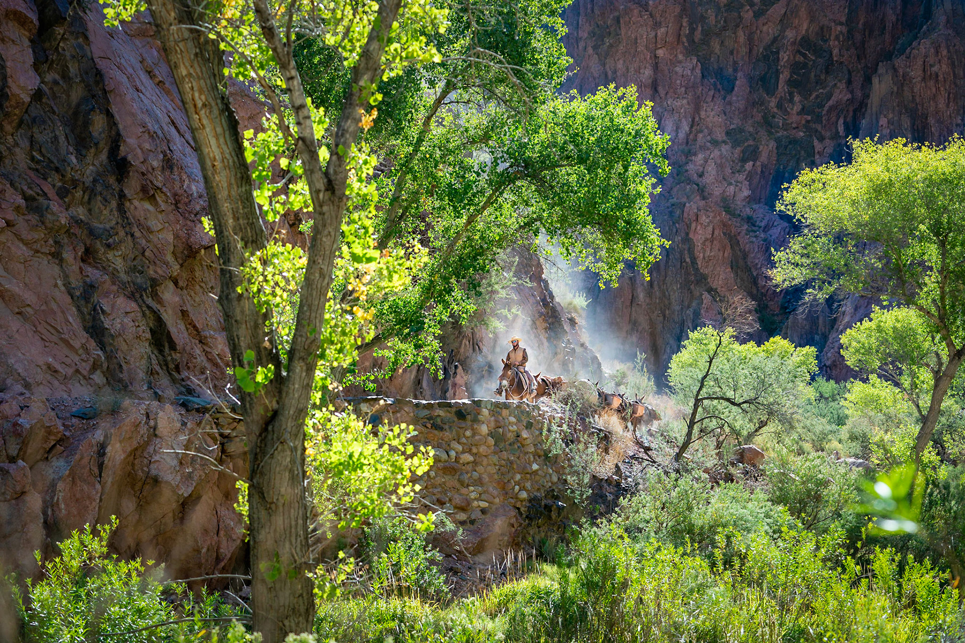 Morgonleverans på botten av Grand Canyon
