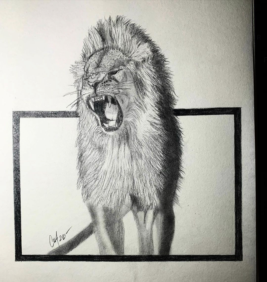 Pencil Sketch of a Lion