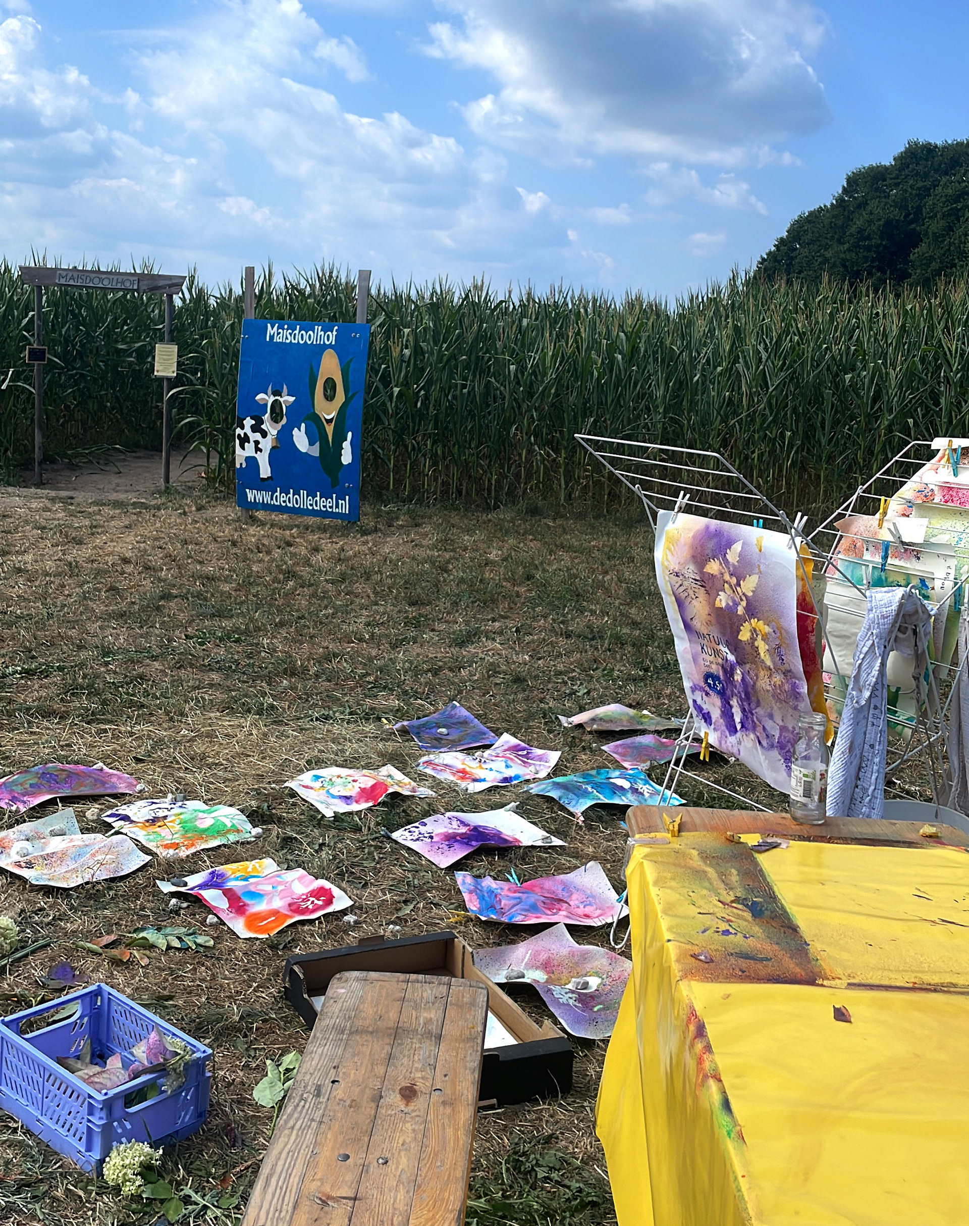 Natuurkunst bij de Dolle Deel in Dalfsen