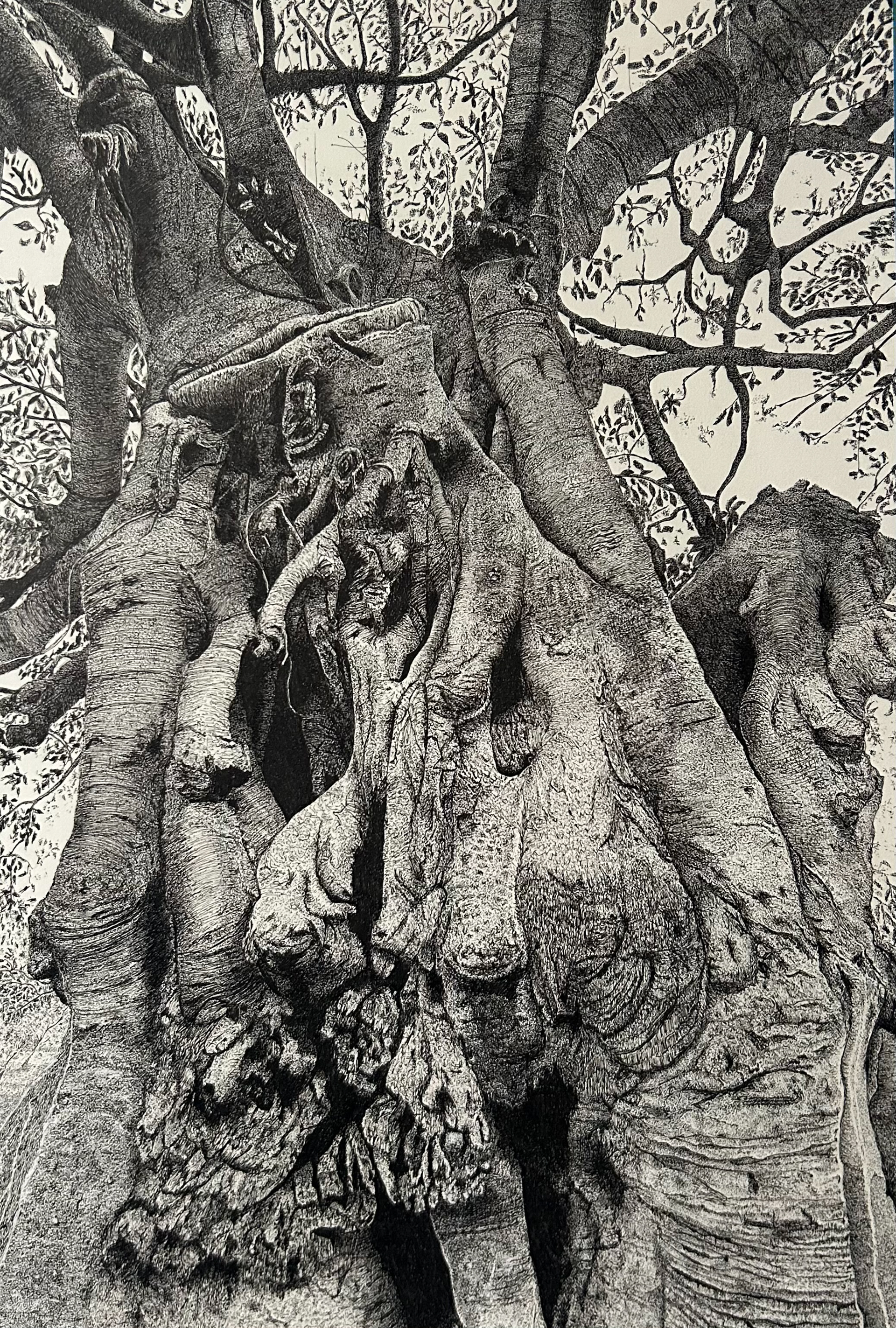 Her Skin is Like Mine [2026] | Ink Pen on Paper | 38 x 50cm, Framed