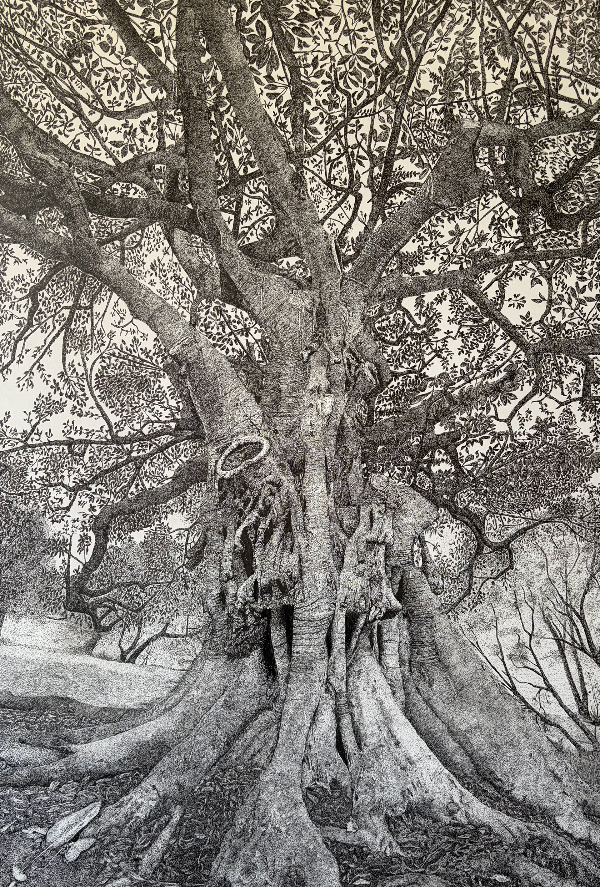 Family Tree [2026] | Ink Pen on Paper | 47 x 65cm, Framed
