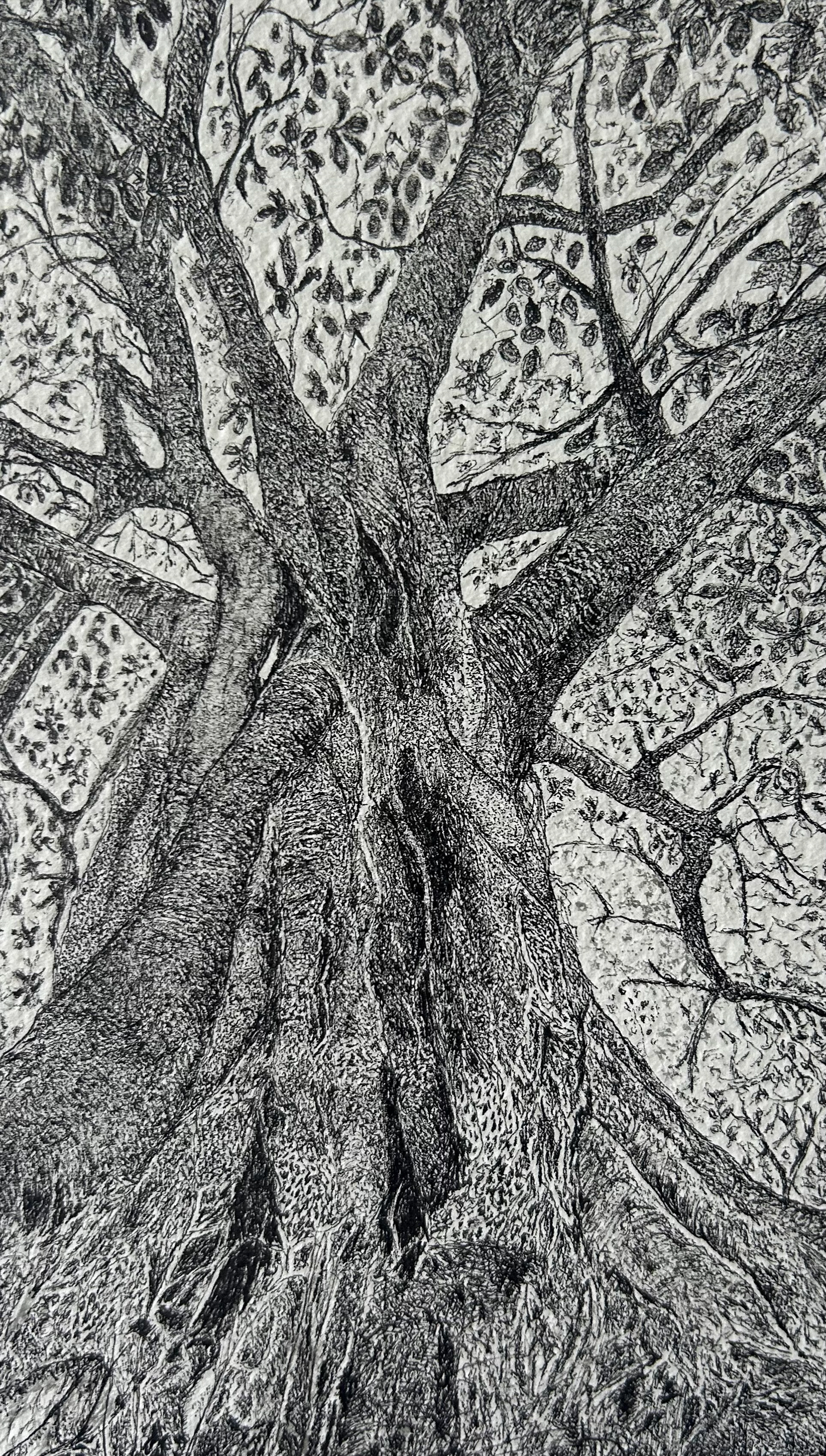 Look Up [2026] | Ink Pen on Paper | 20 x 30cm, Framed | SOLD