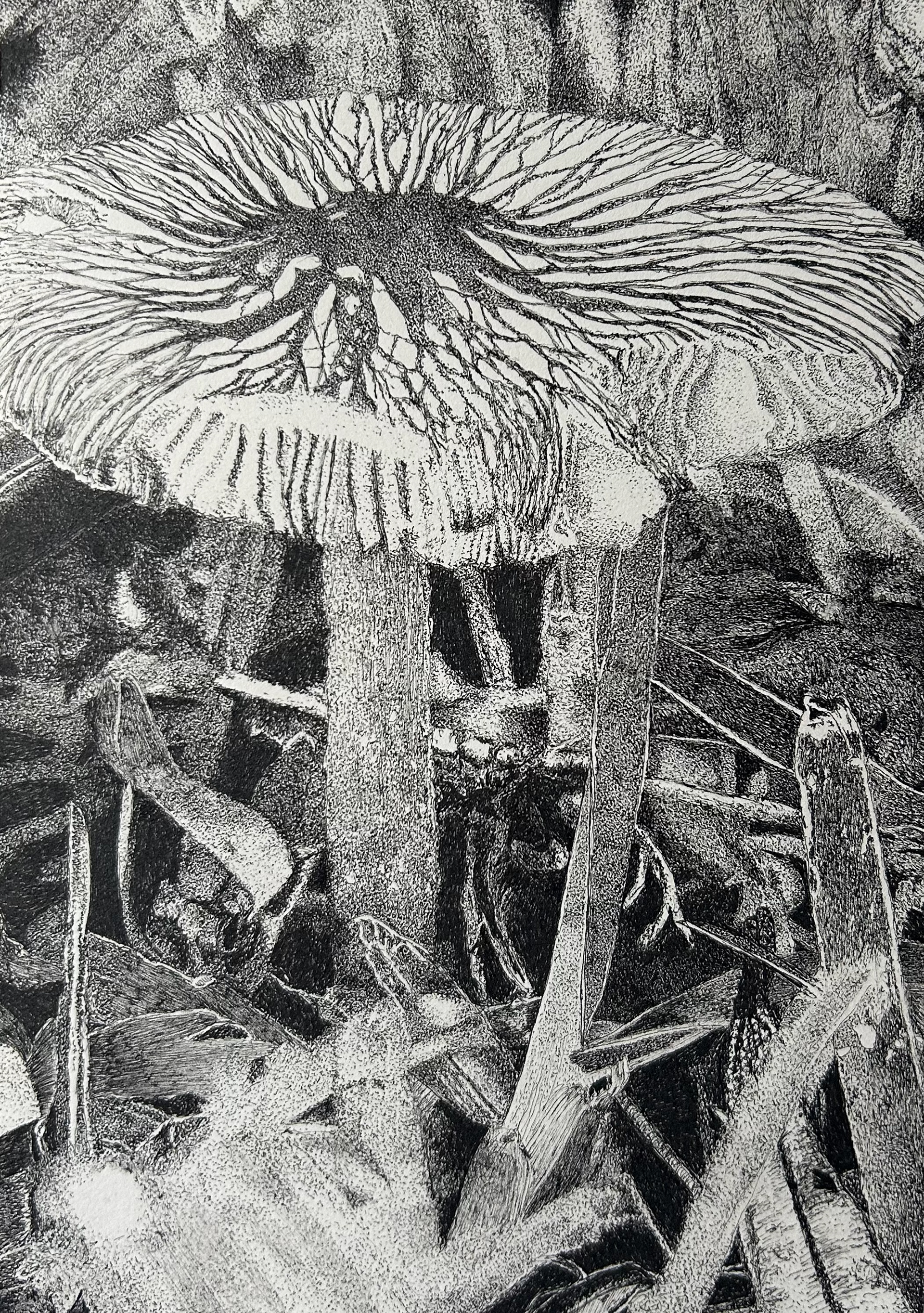 Beau Champignon [2026] | Ink Pen on Paper | 14.8 x 21cm | SOLD