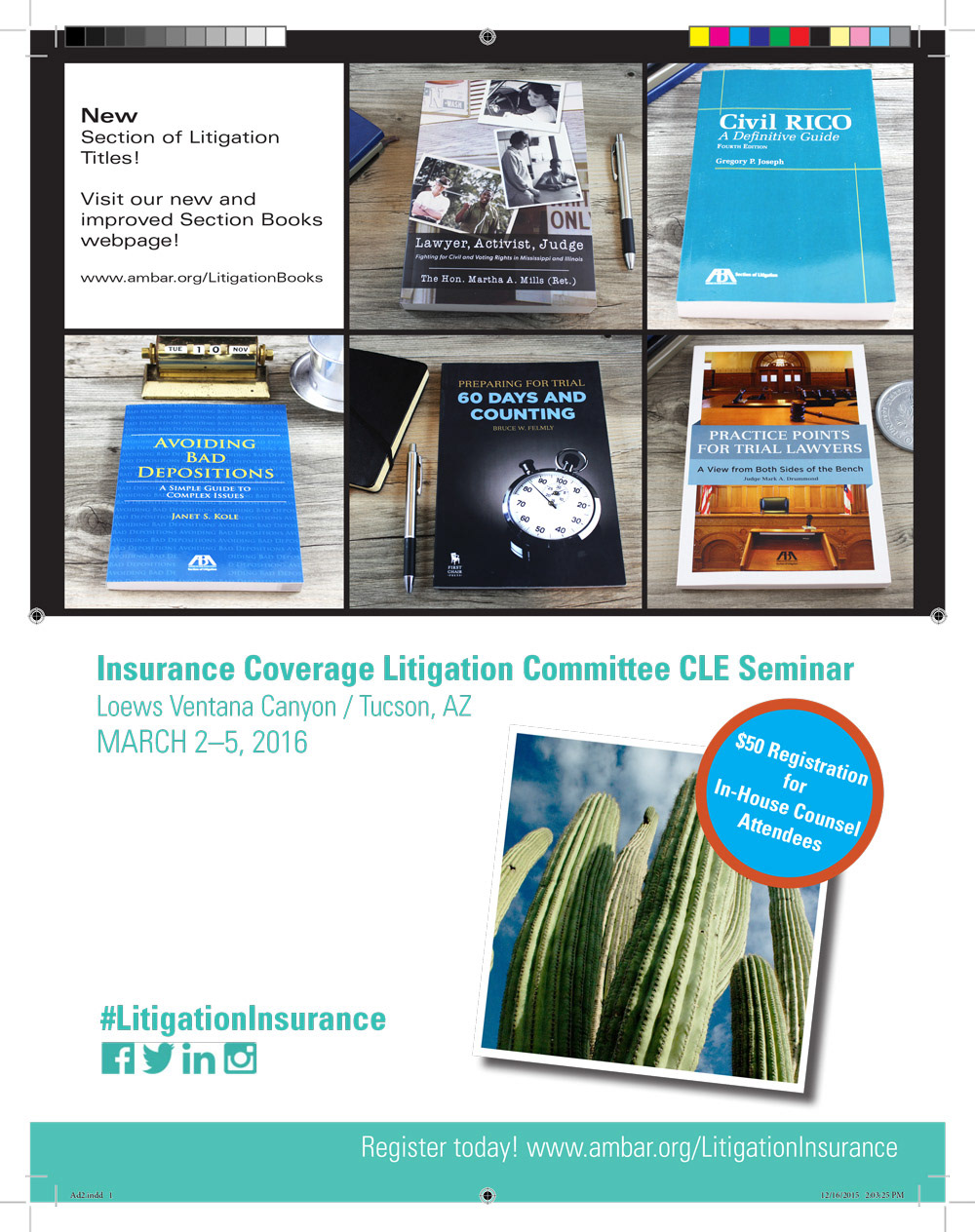 Print Ad for Litigation News