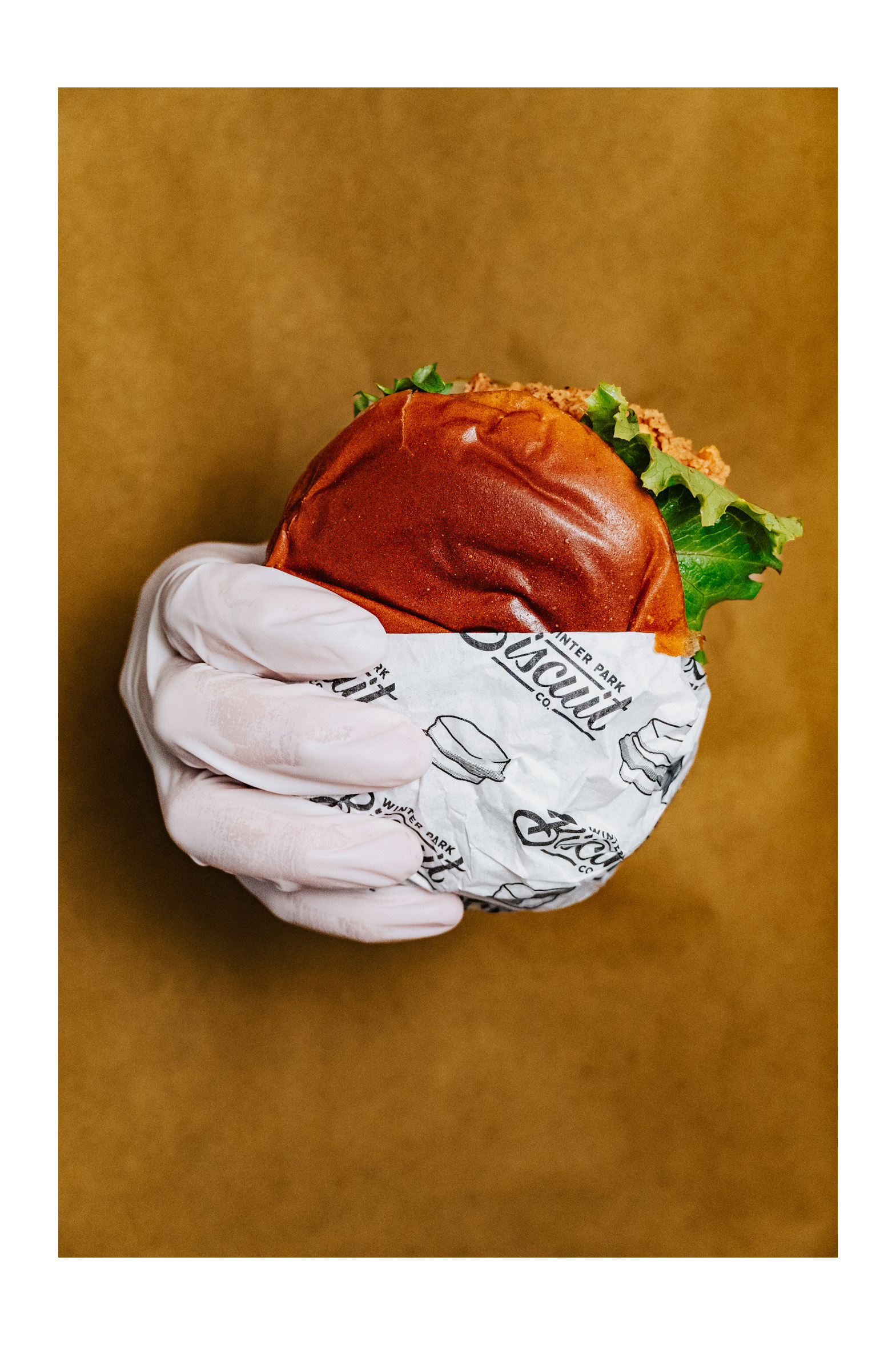 Photoshop edit: HSL editing, normal diffuse, and bright background color.