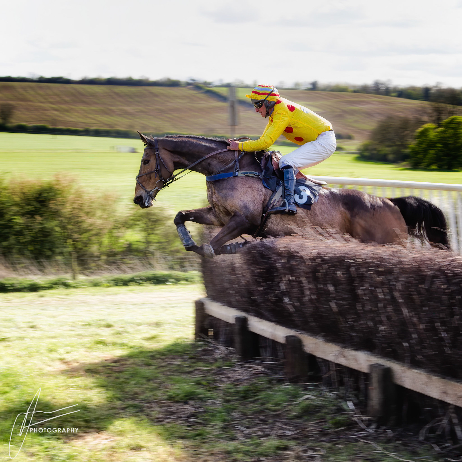 Dingley Races 2017