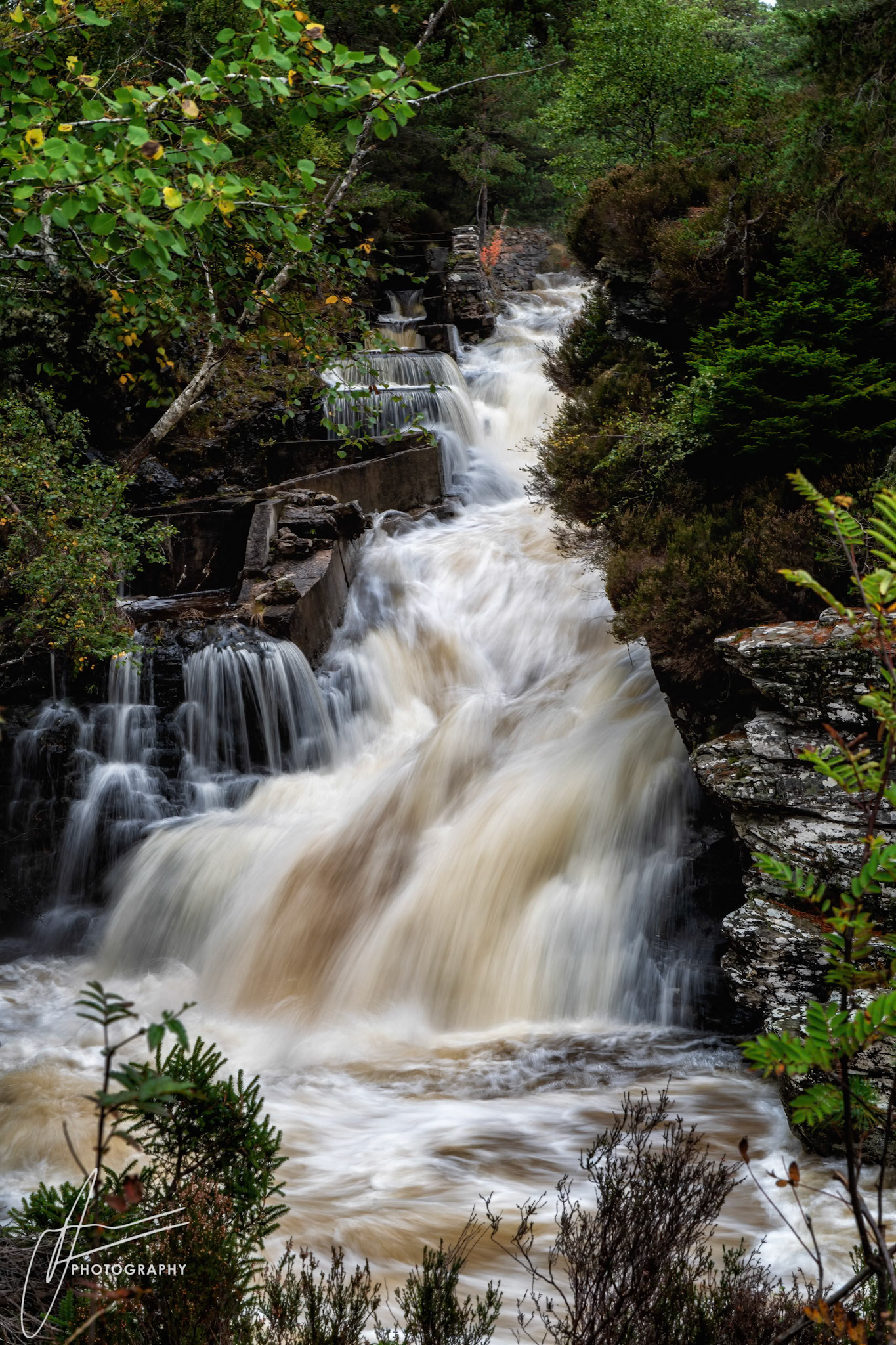 River Salmon, Mar Lodge Estate, Braemar