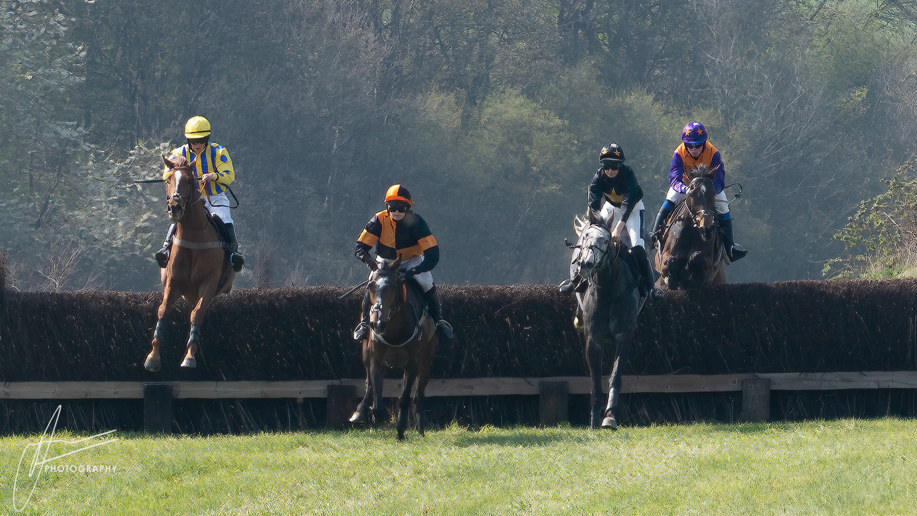 Dingley Races 2019