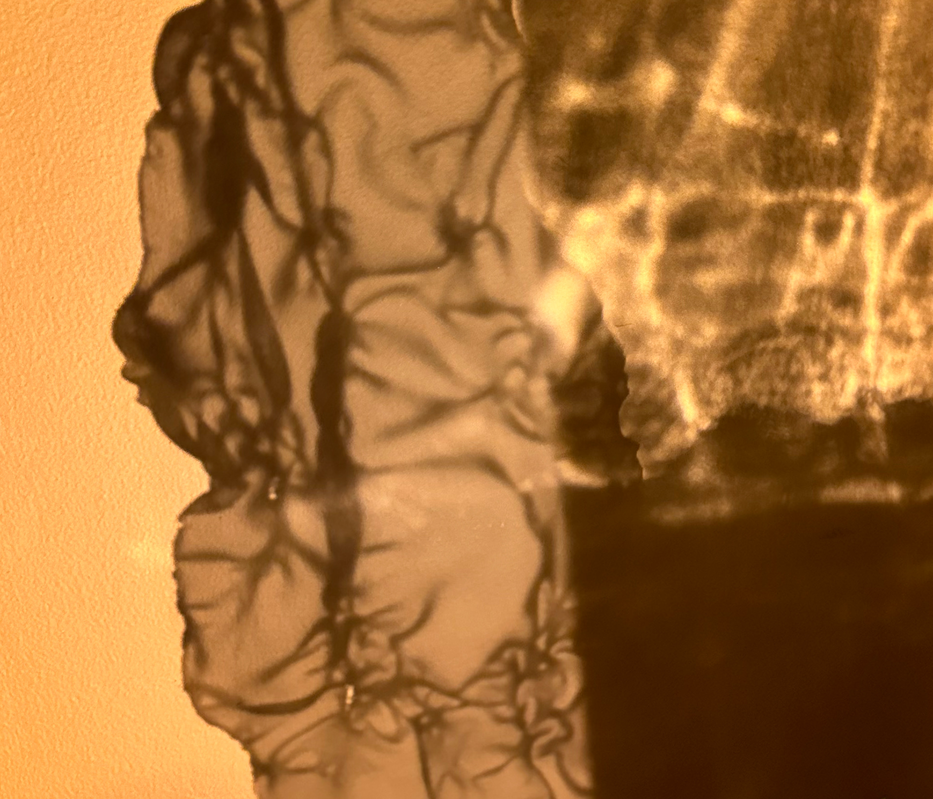 Blade and glass shadow III