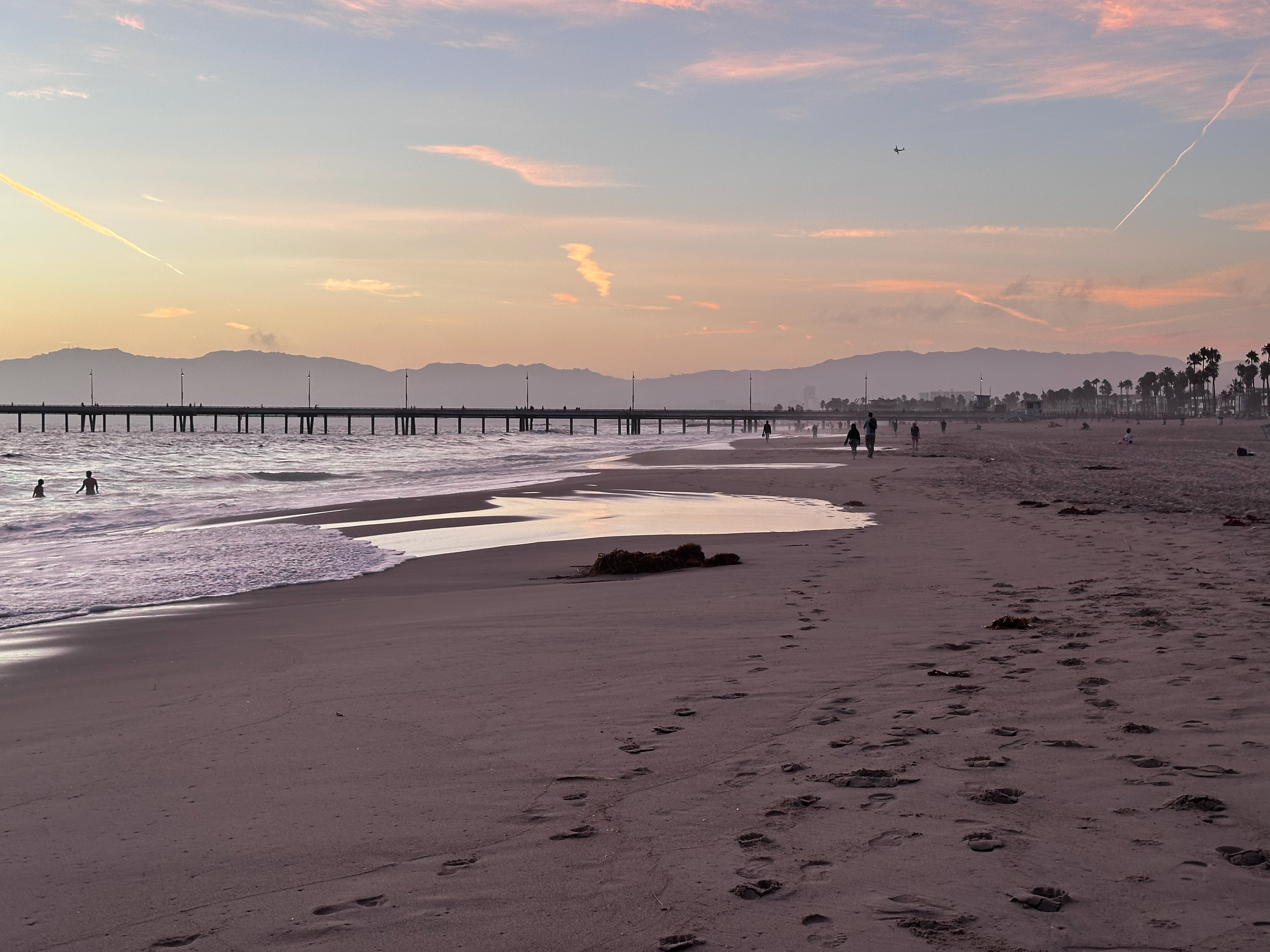 Kelp inspiration—My soul on the beach