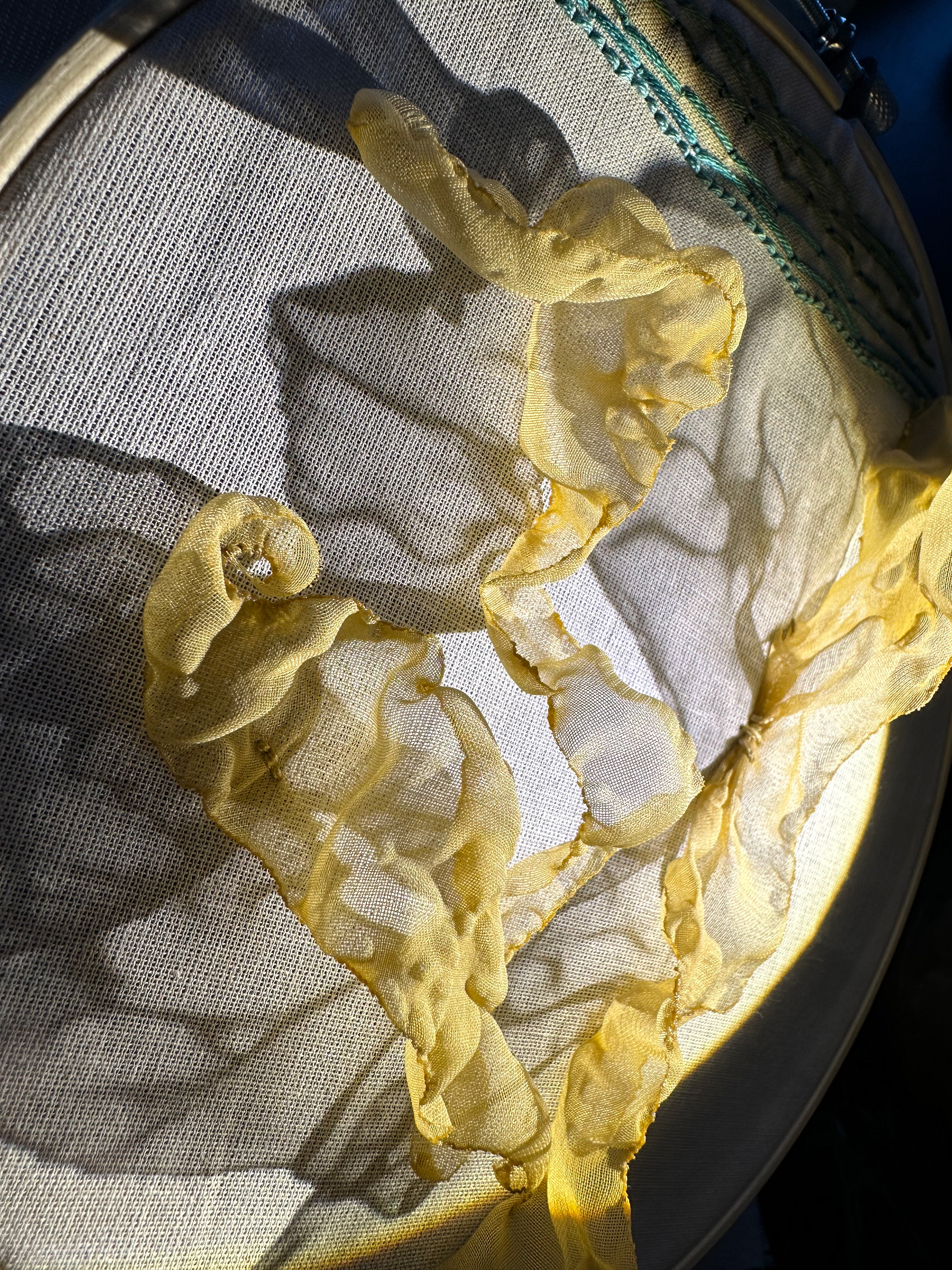 Waterline—with light and shadow