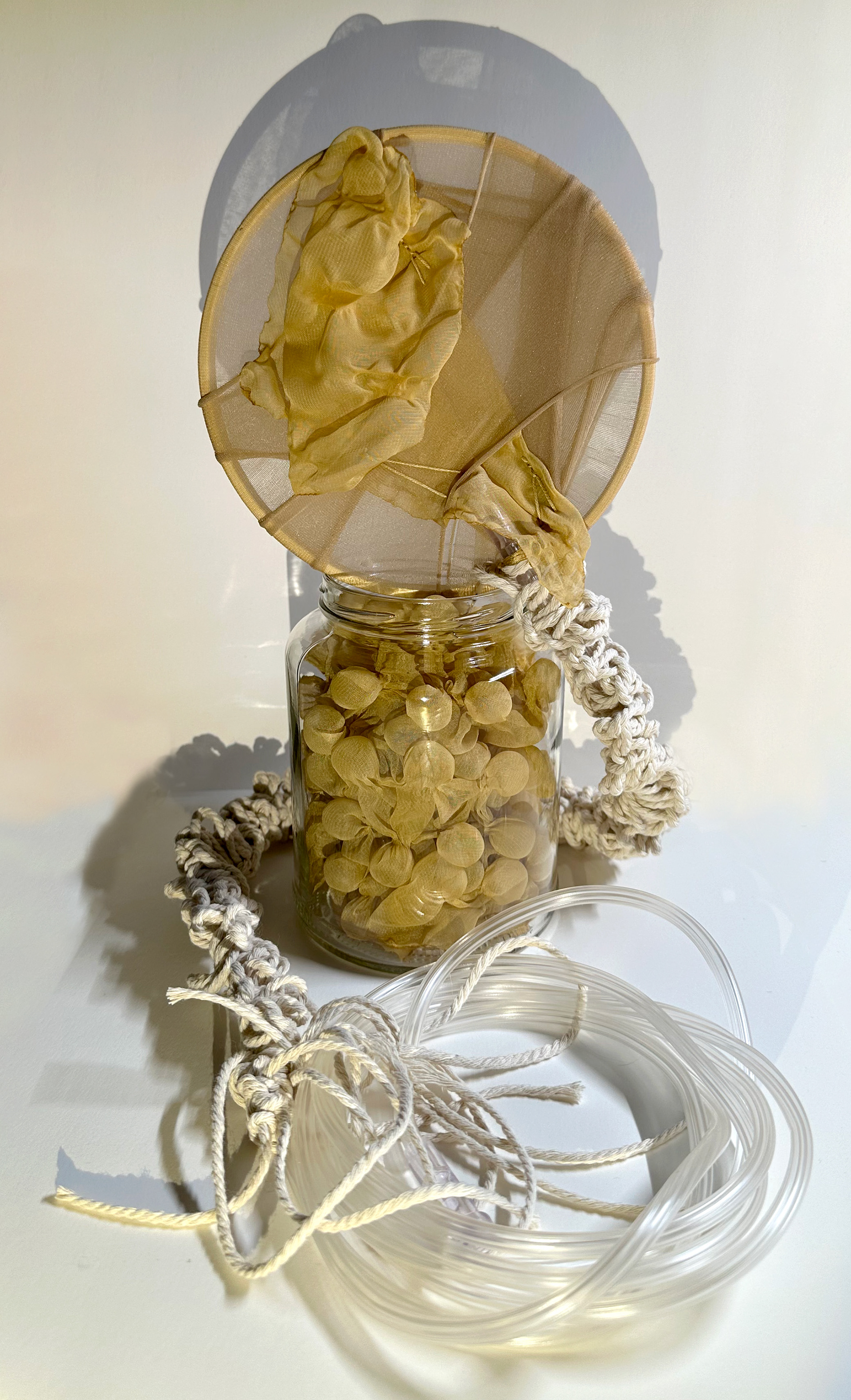 In My Own Way (study of composition and light)