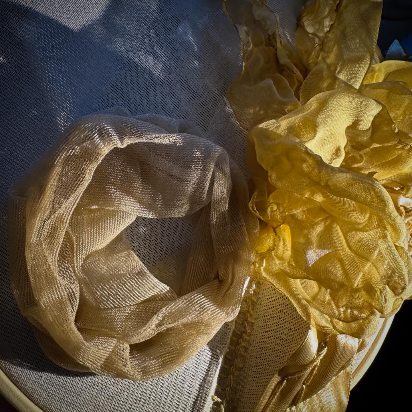 Texture Study with light and shadow