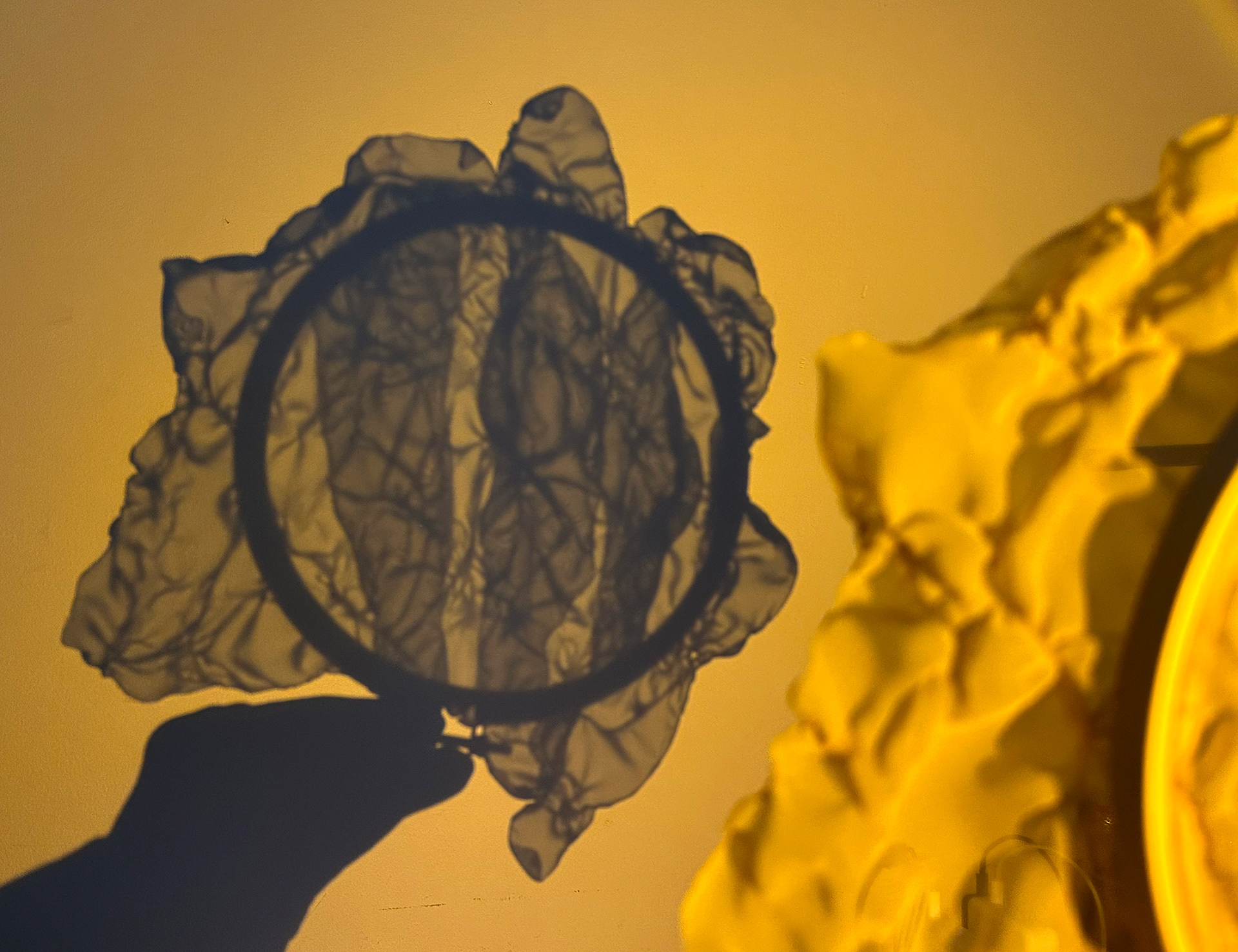 Blades shadow (fired organza)