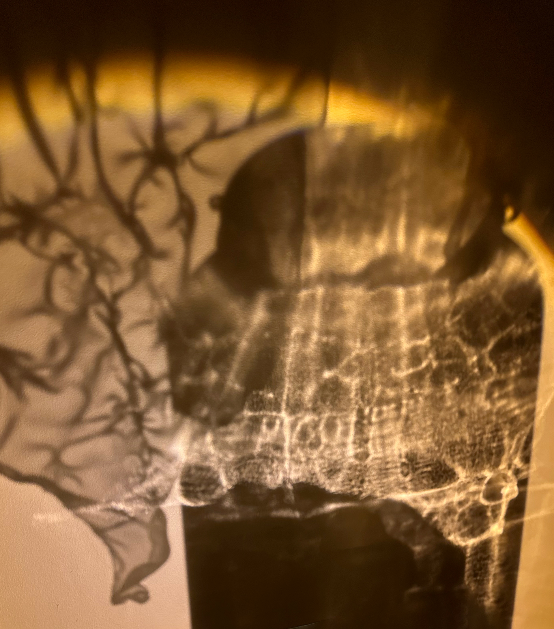 Blade and glass shadow II