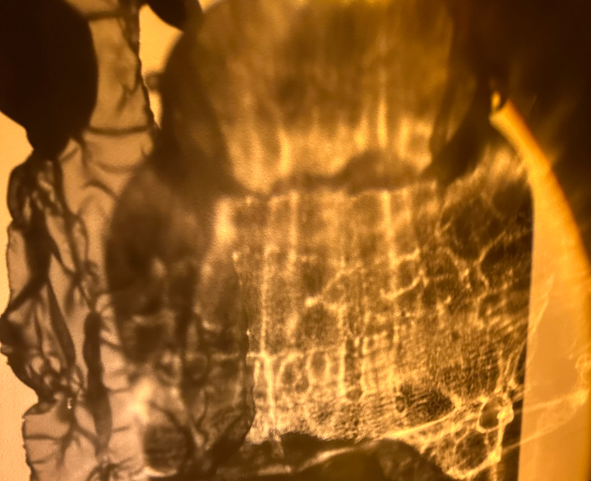 Blade and glass shadow