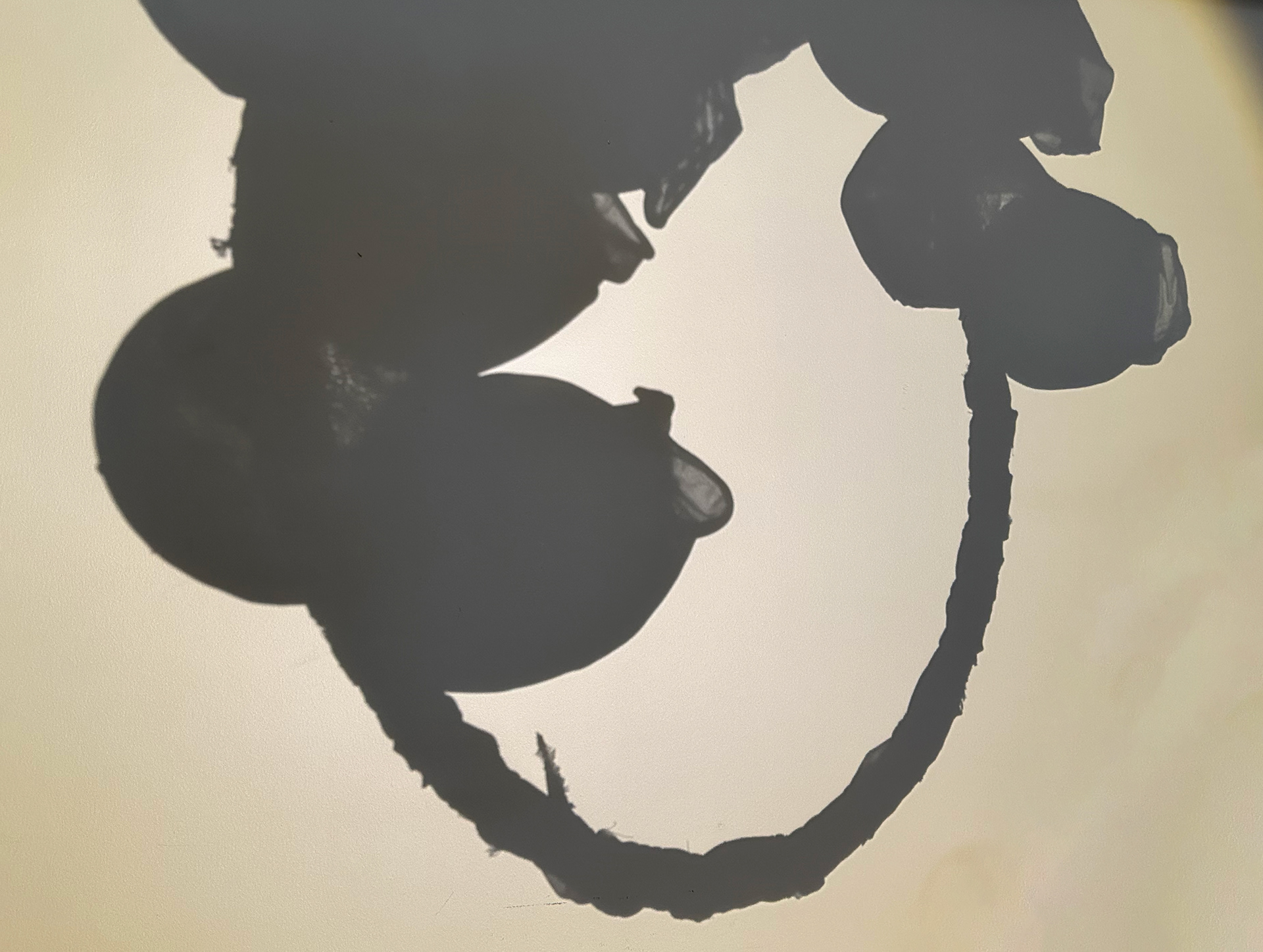 Resilience Crown shadow