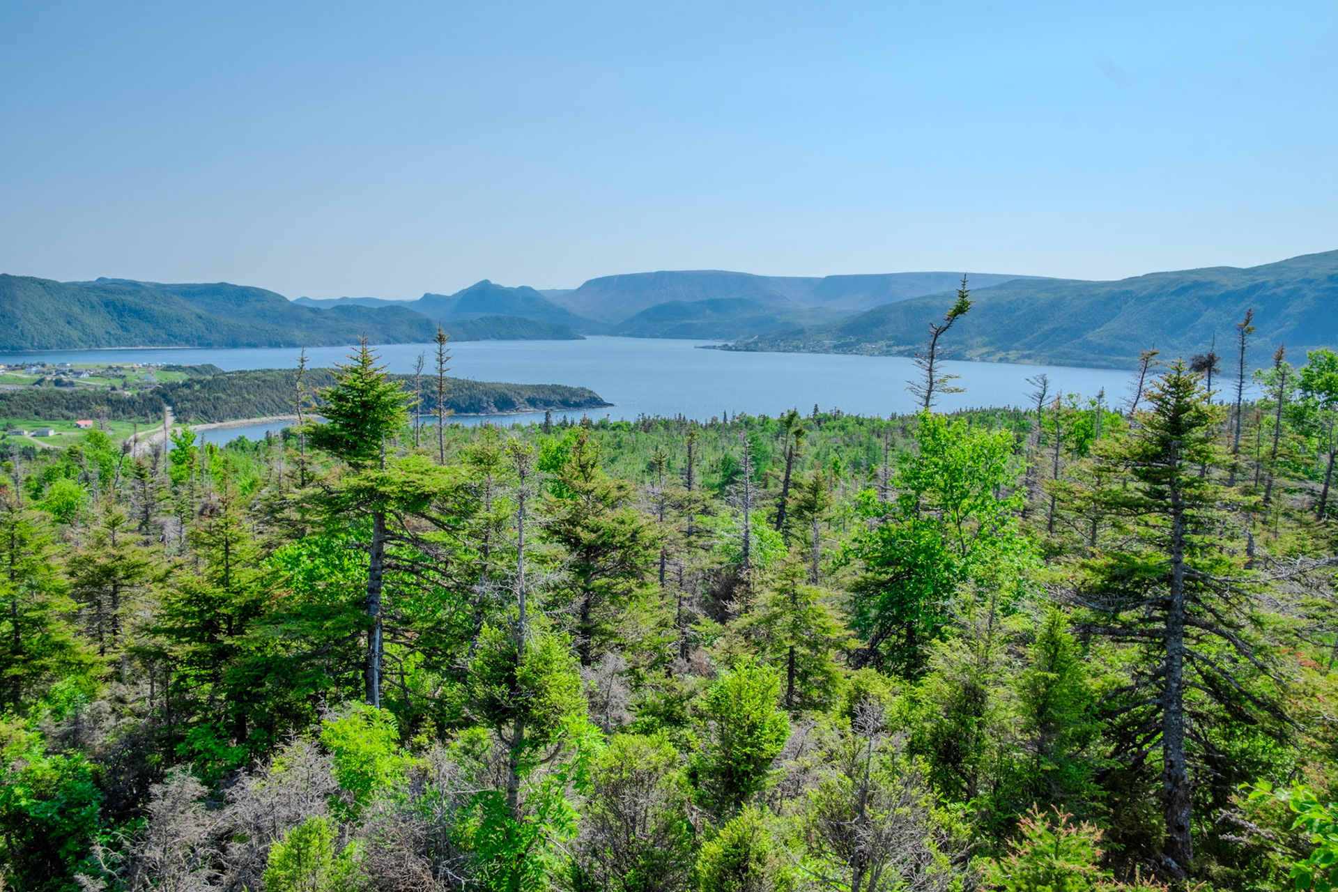 Norris Point NL