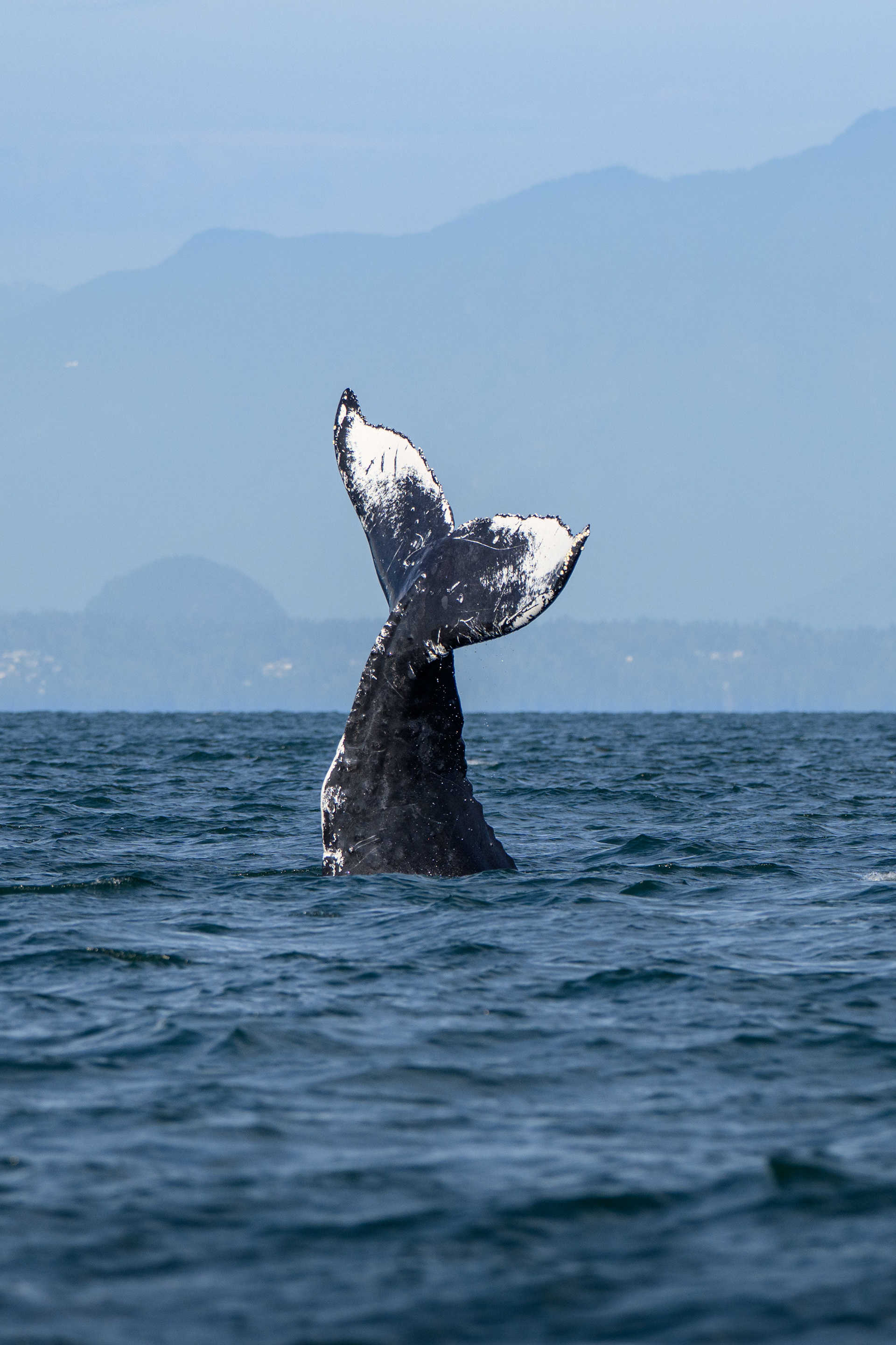 Vancouver Island, BC, Canada