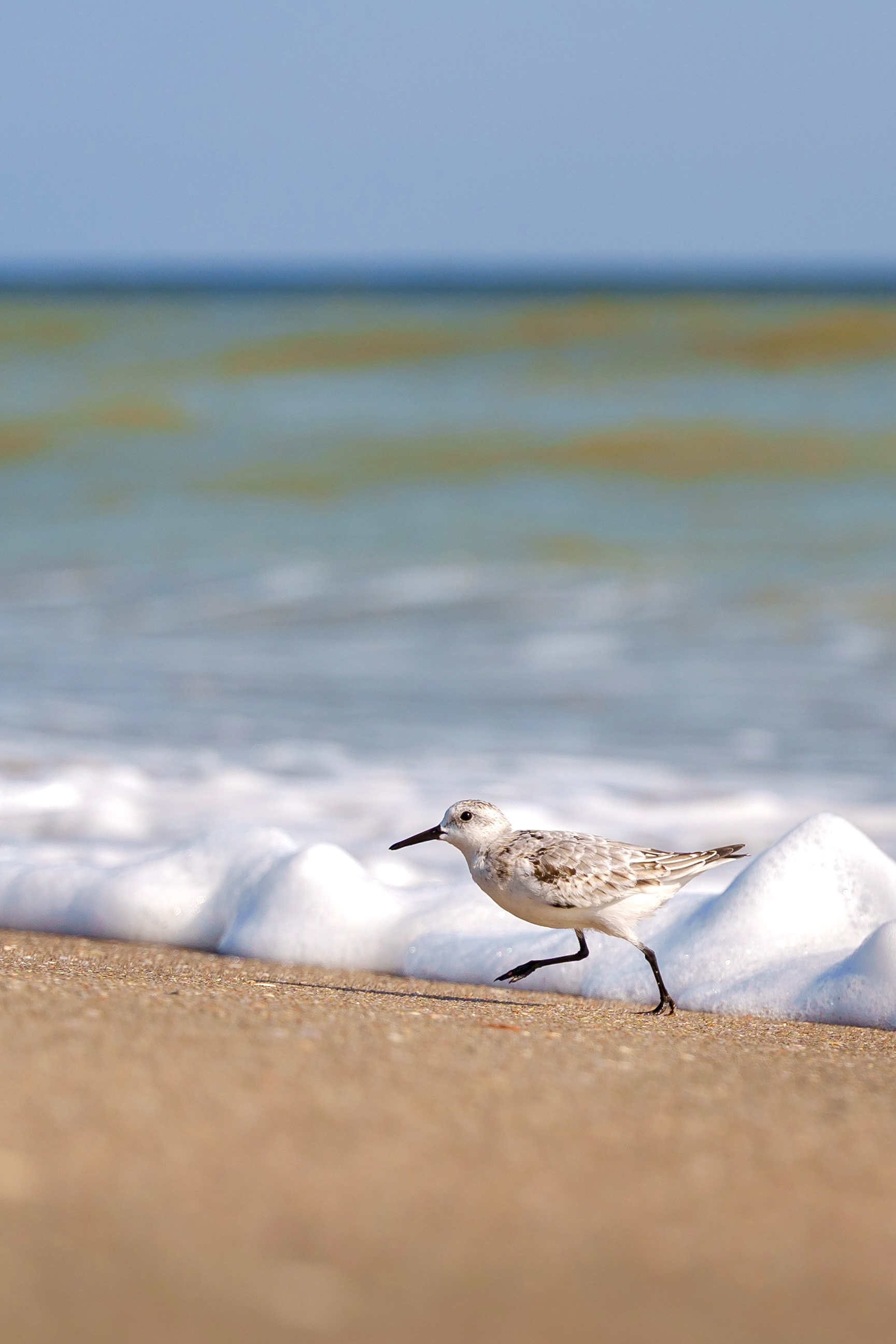Ocean Isle Beach, North Carolina