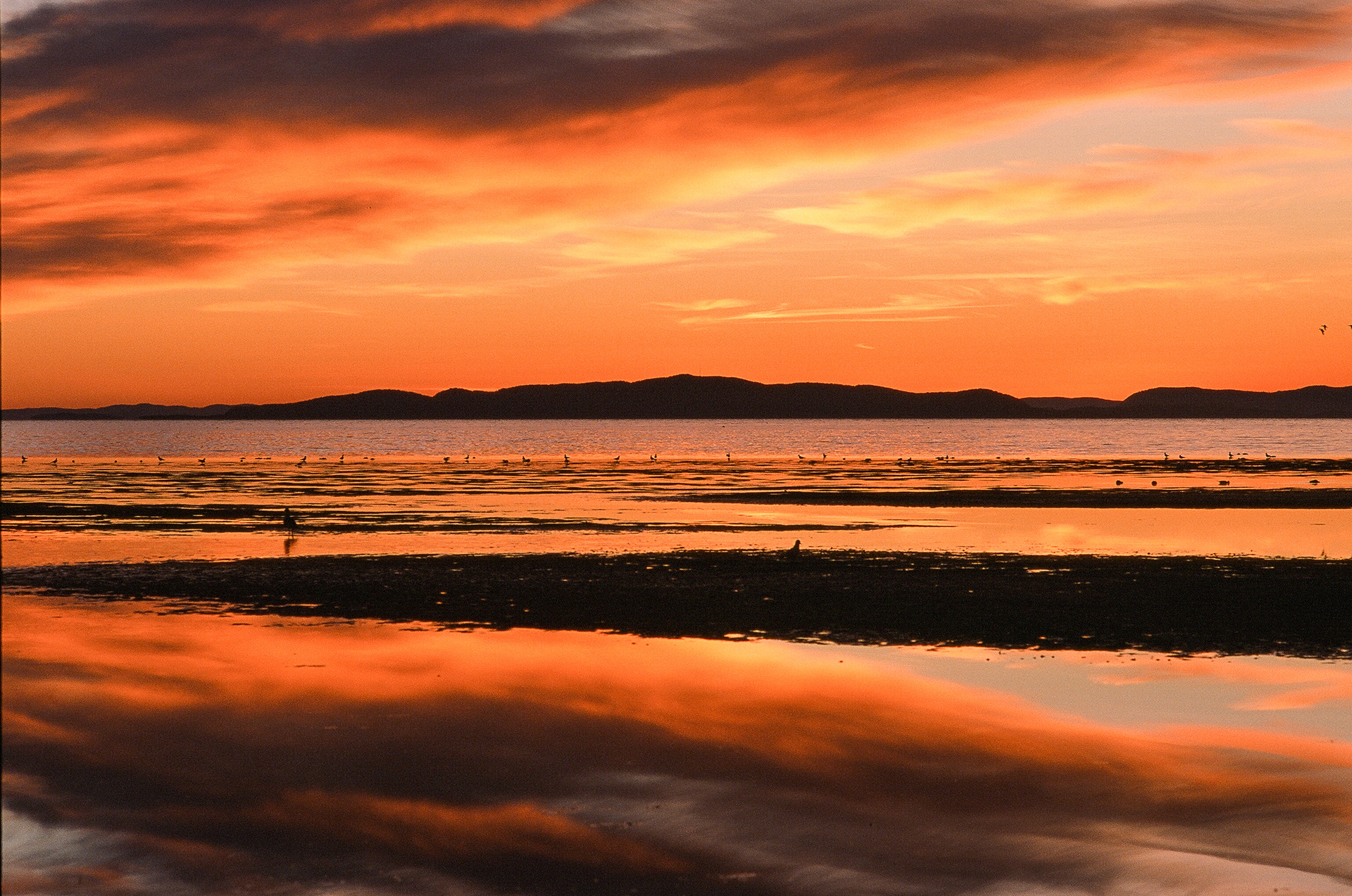 Birch Bay, WA, USA