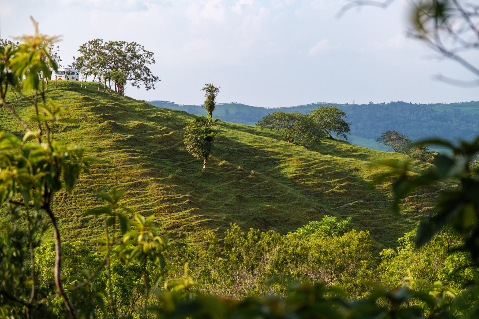 Fujifilm X-T4 / Fujinon 16-80mm f4