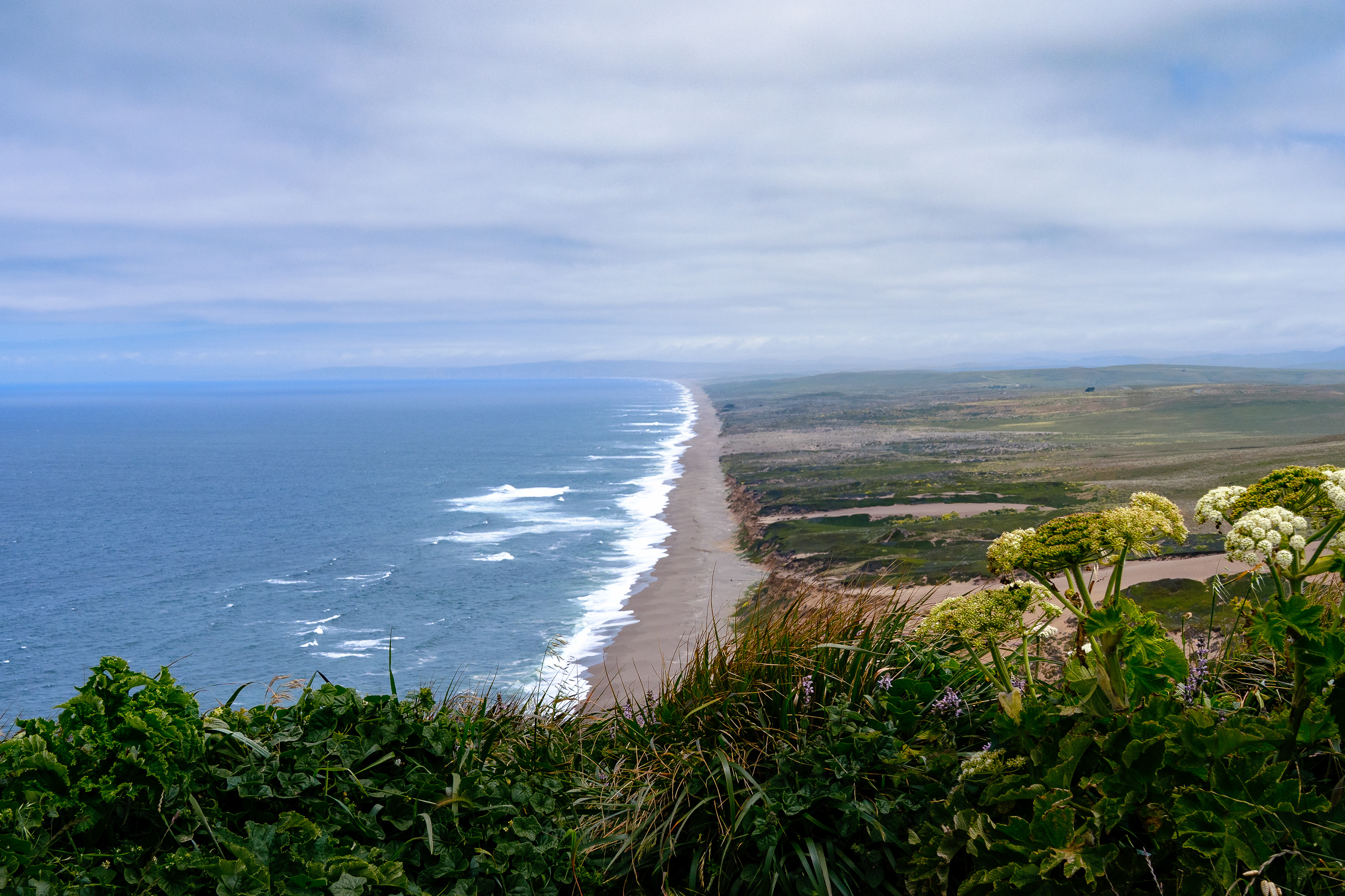 Point Reyes, CA, USA